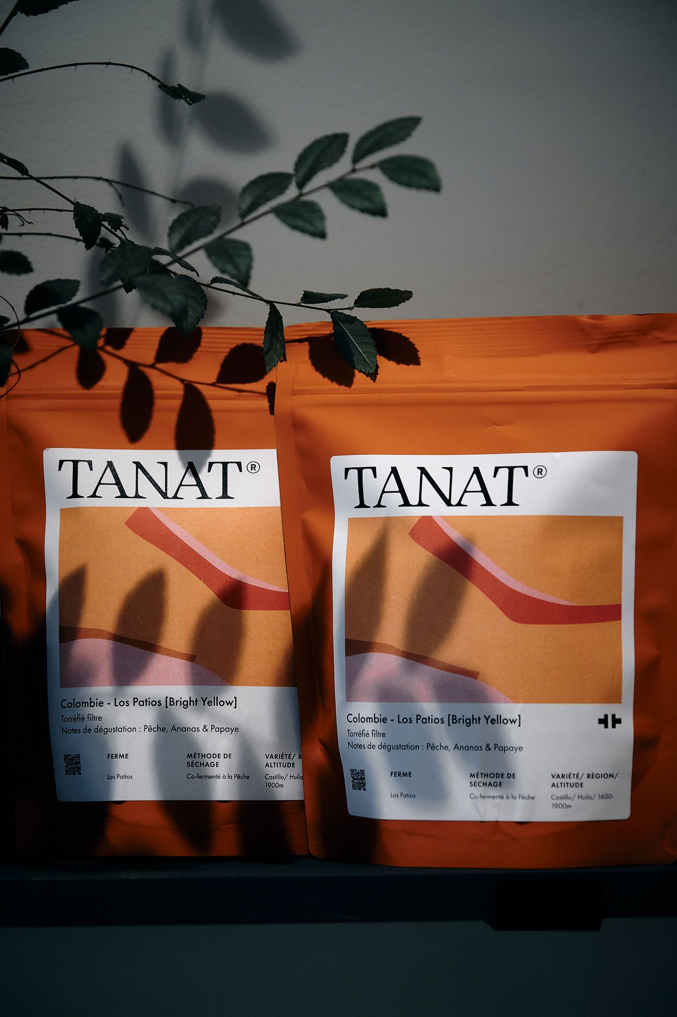 TANAT branded coffee bags with labels displayed under decorative plant shadows.