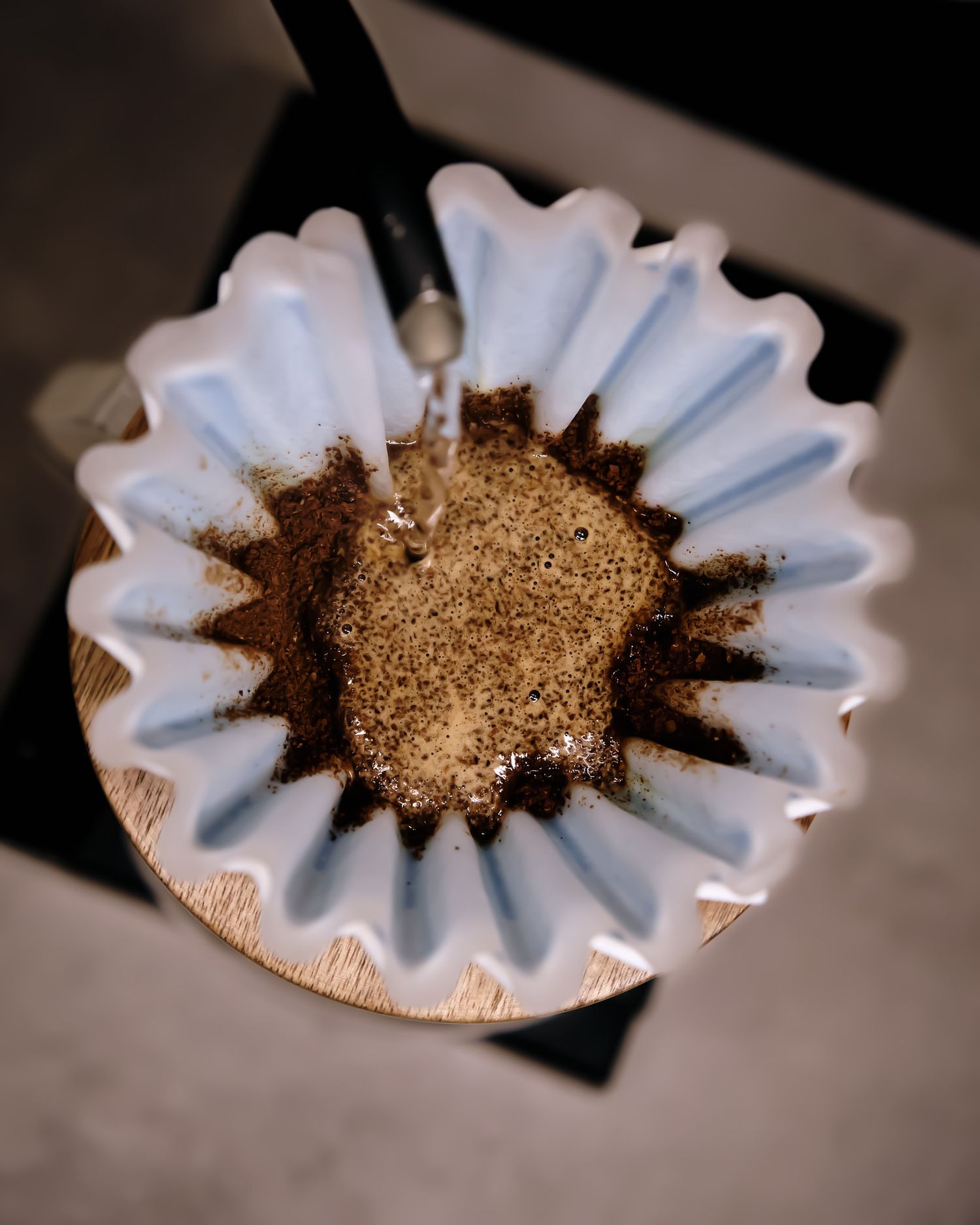 Close-up of coffee grounds in a white paper filter showing texture and detail.