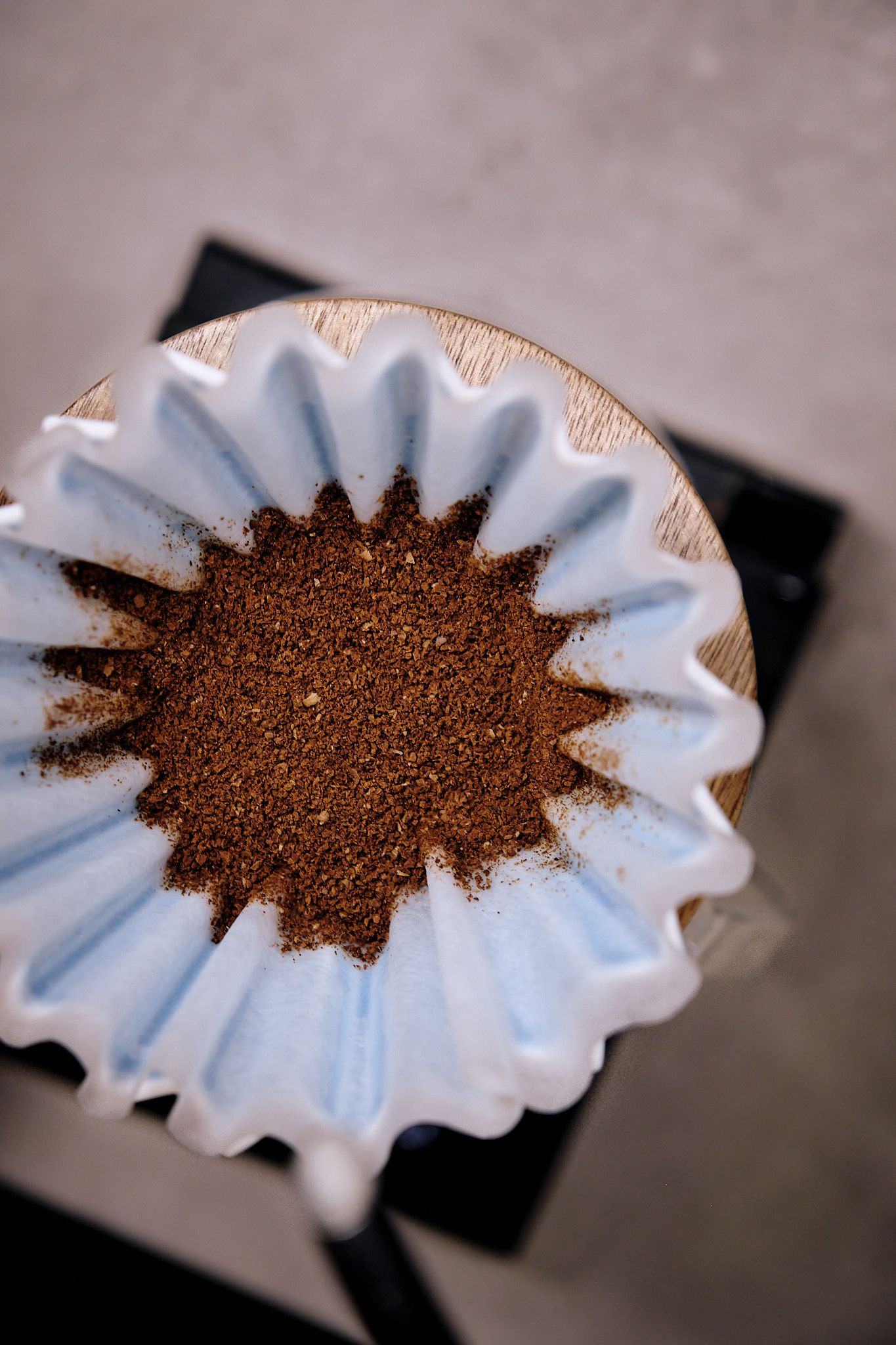 Overhead view of coffee grounds in white paper filter with pleated edges.