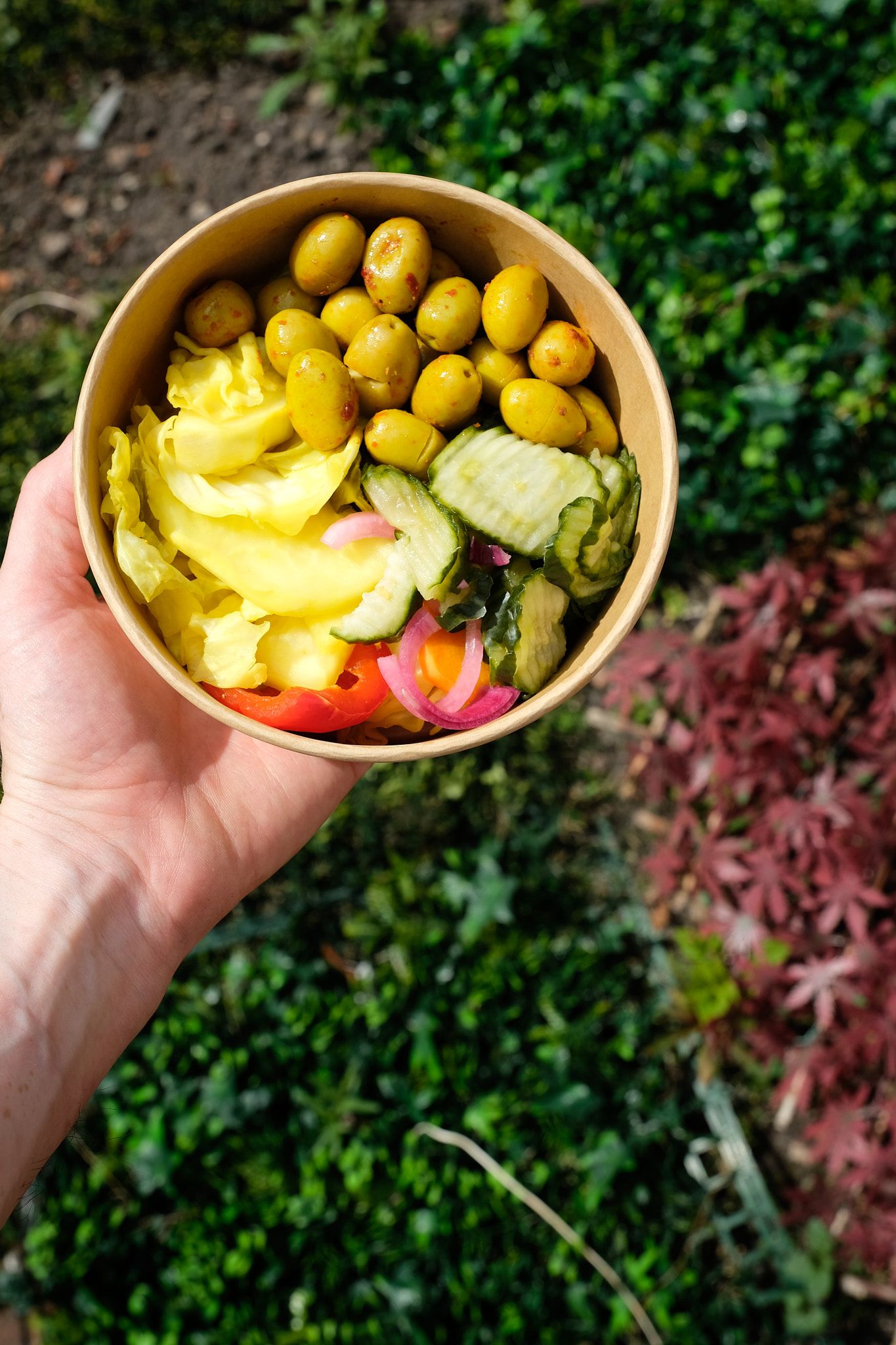 Bowl of fresh salad with potatoes and vegetables against a green garden background.