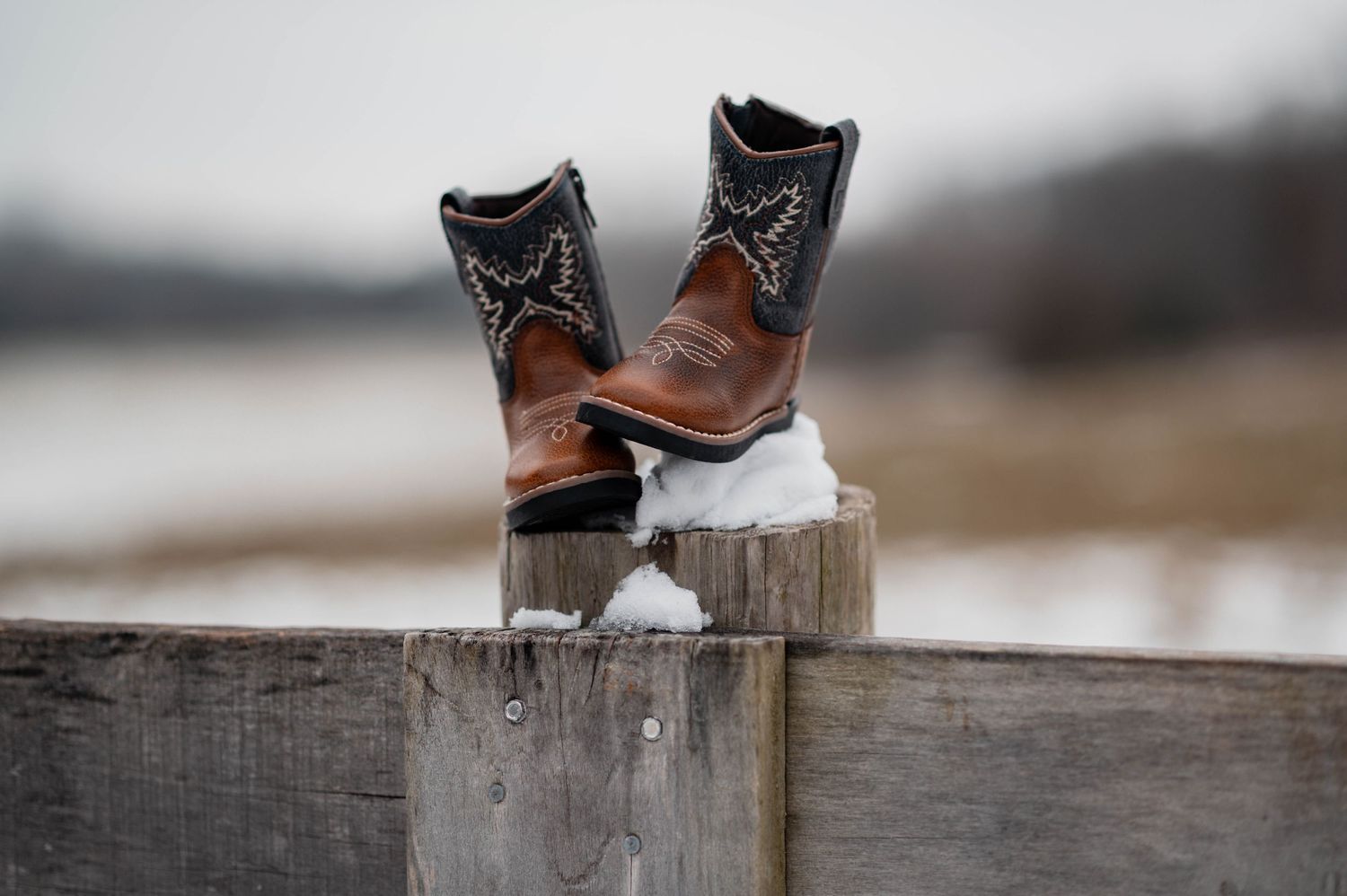 Brown leather boots standing on weathered wooden planks.