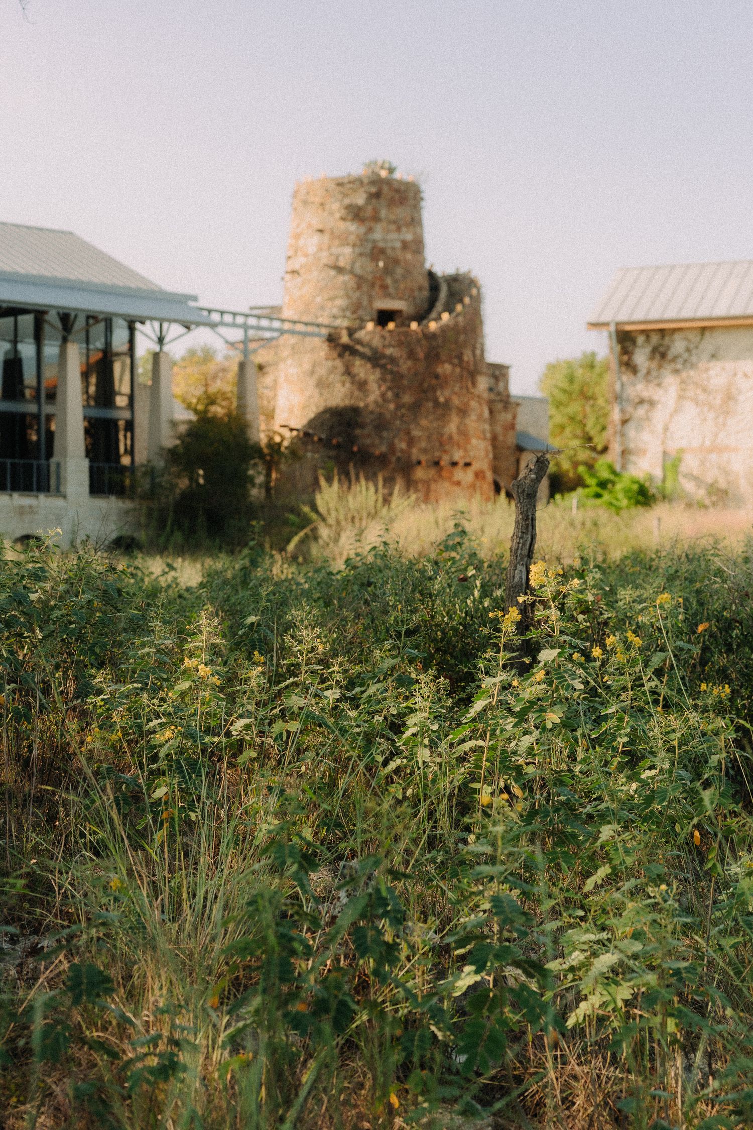 Stone tower ruins rise above lush green vegetation in a rustic garden landscape during golden hour.
