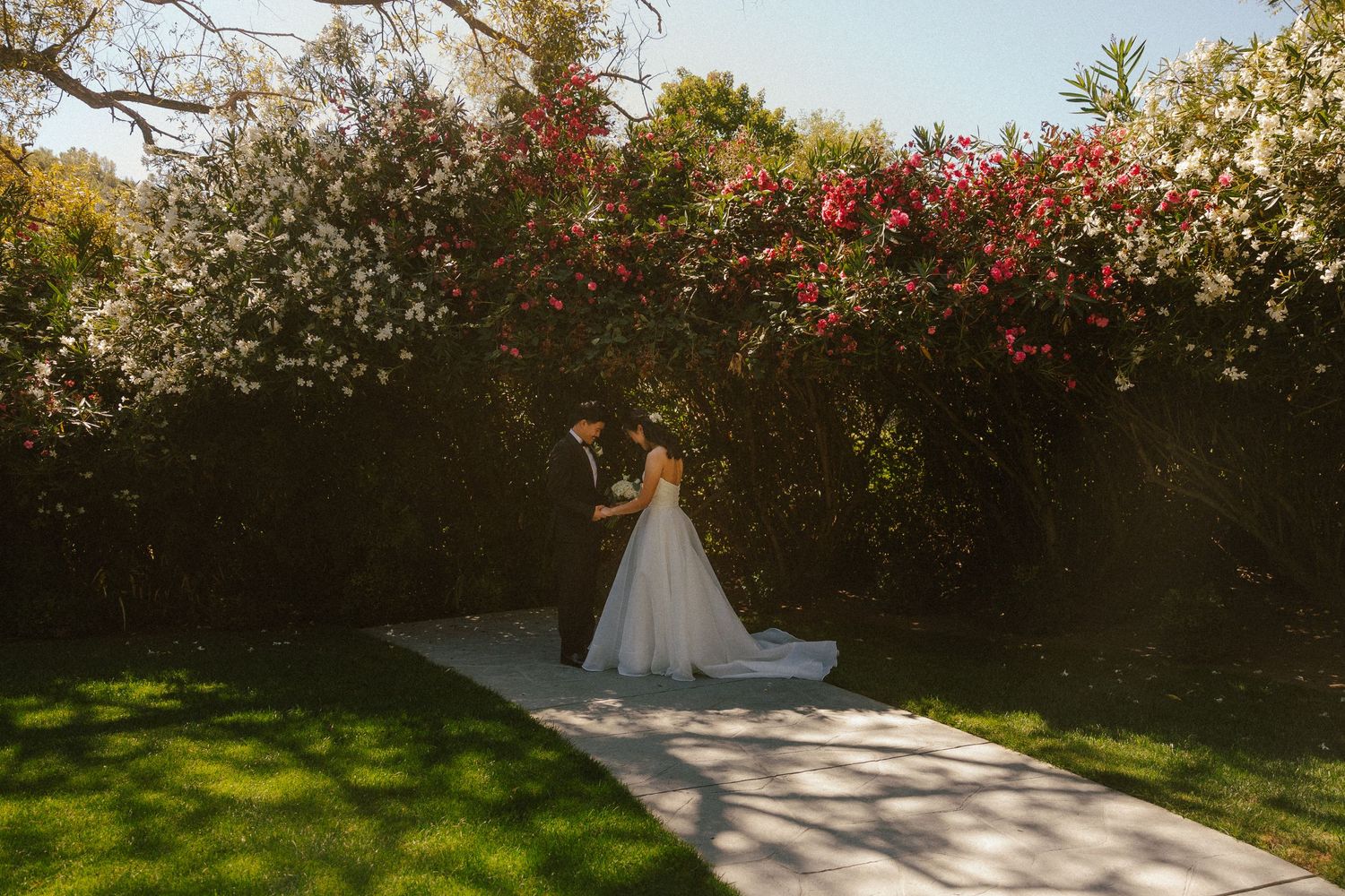 Bride and groom share a romantic moment on a garden path surrounded by blooming white and red flowers in warm sunlight.