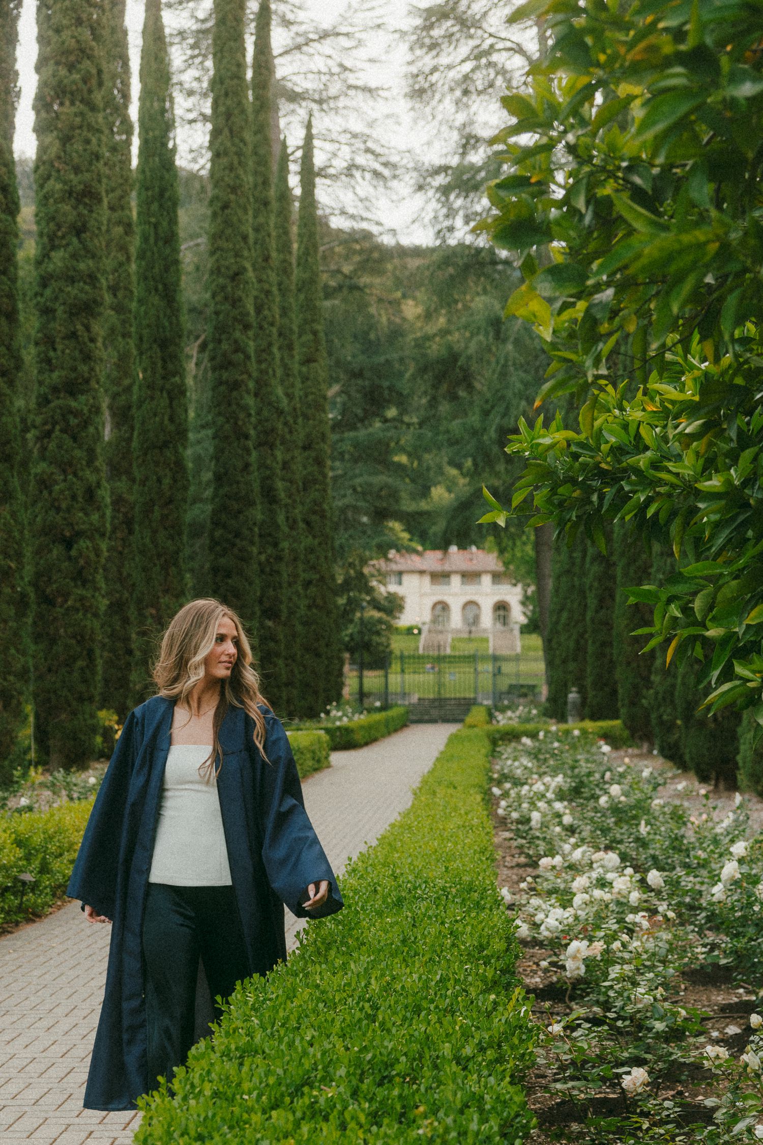 Woman in navy blue graduation robe walks along garden path with cypress trees and white roses.