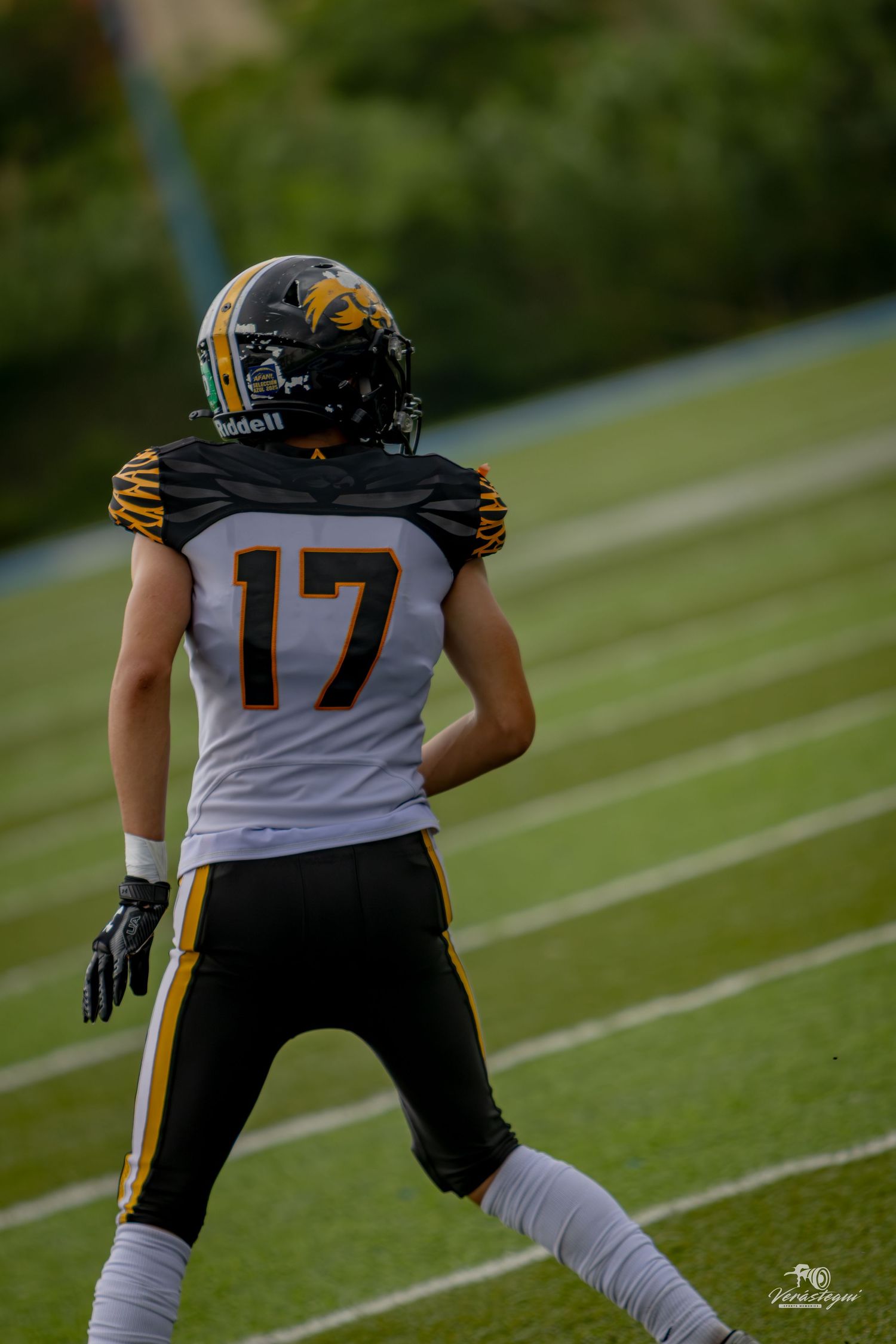 Football player wearing jersey number 17 stands on green field in black and gold uniform with Riddell helmet.