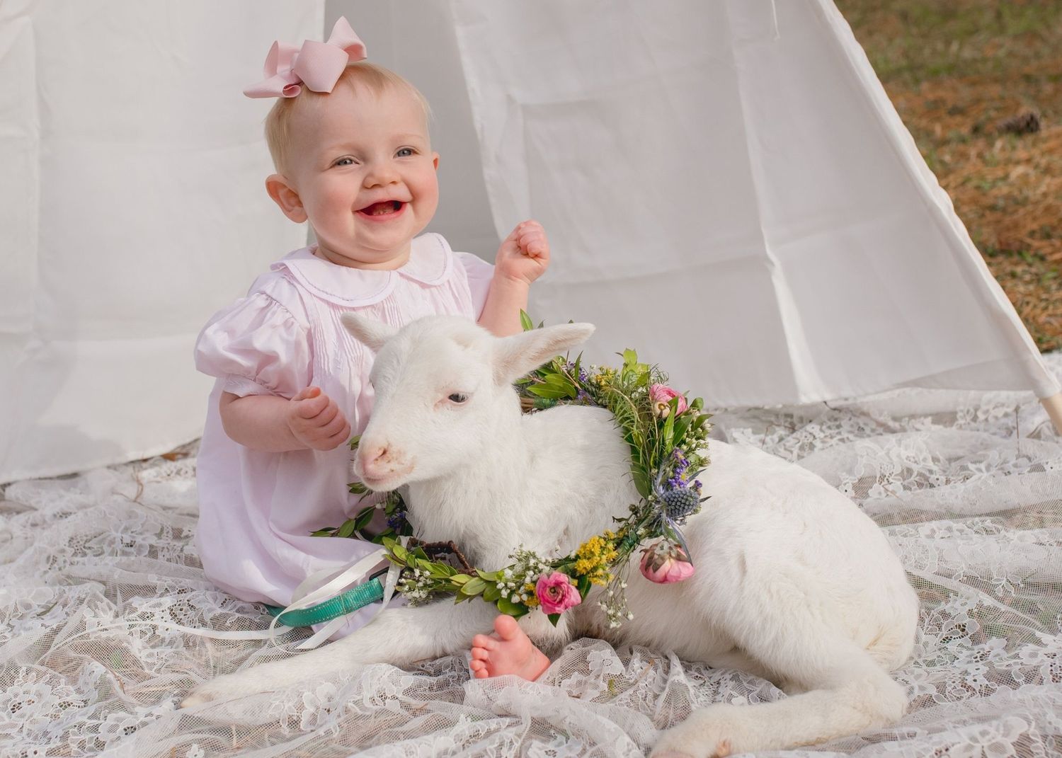 Baby girl sitting with spring lamb during a Birmingham Alabama baby lamb mini session