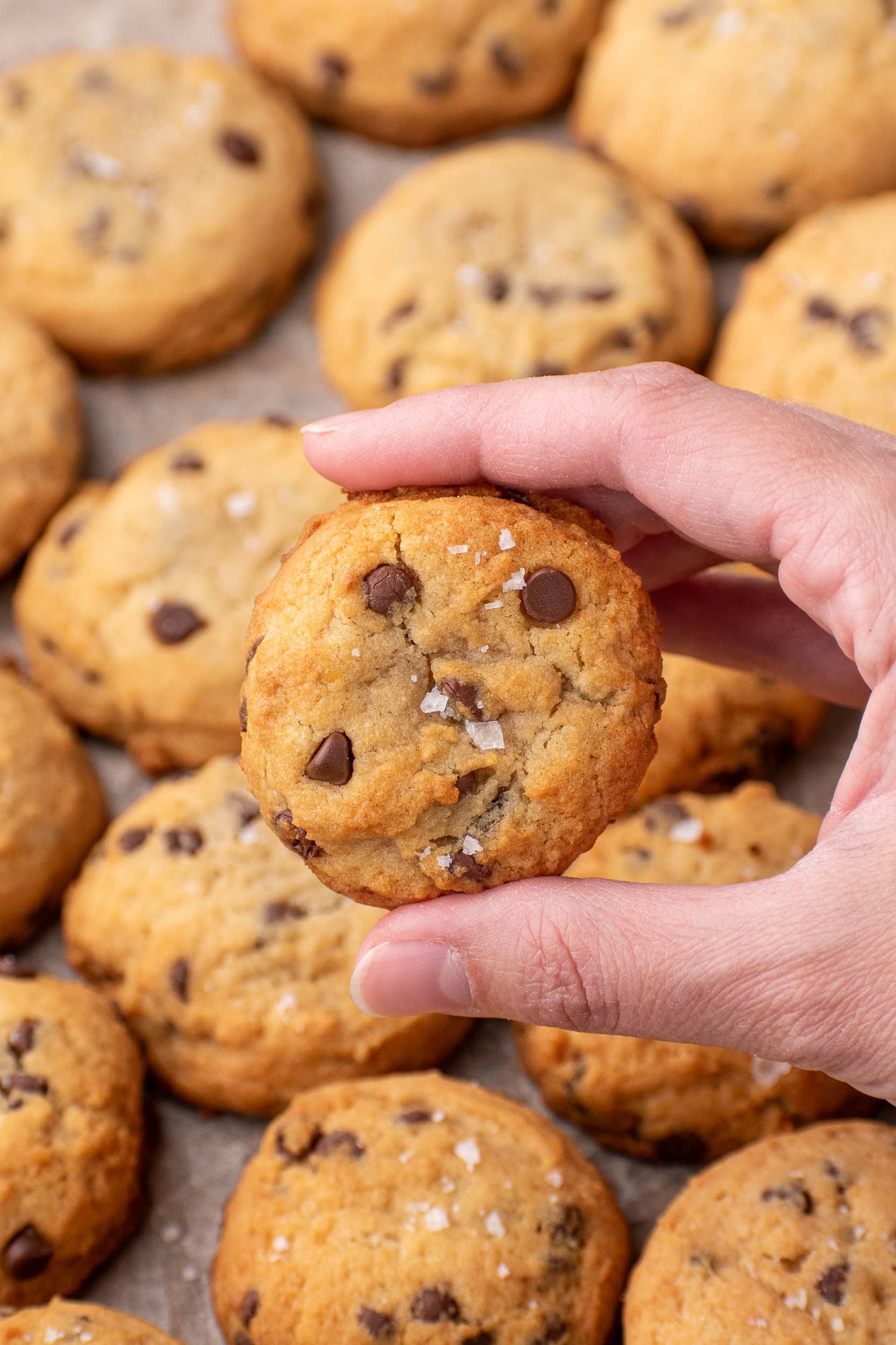 healthy chocolate chip cookies