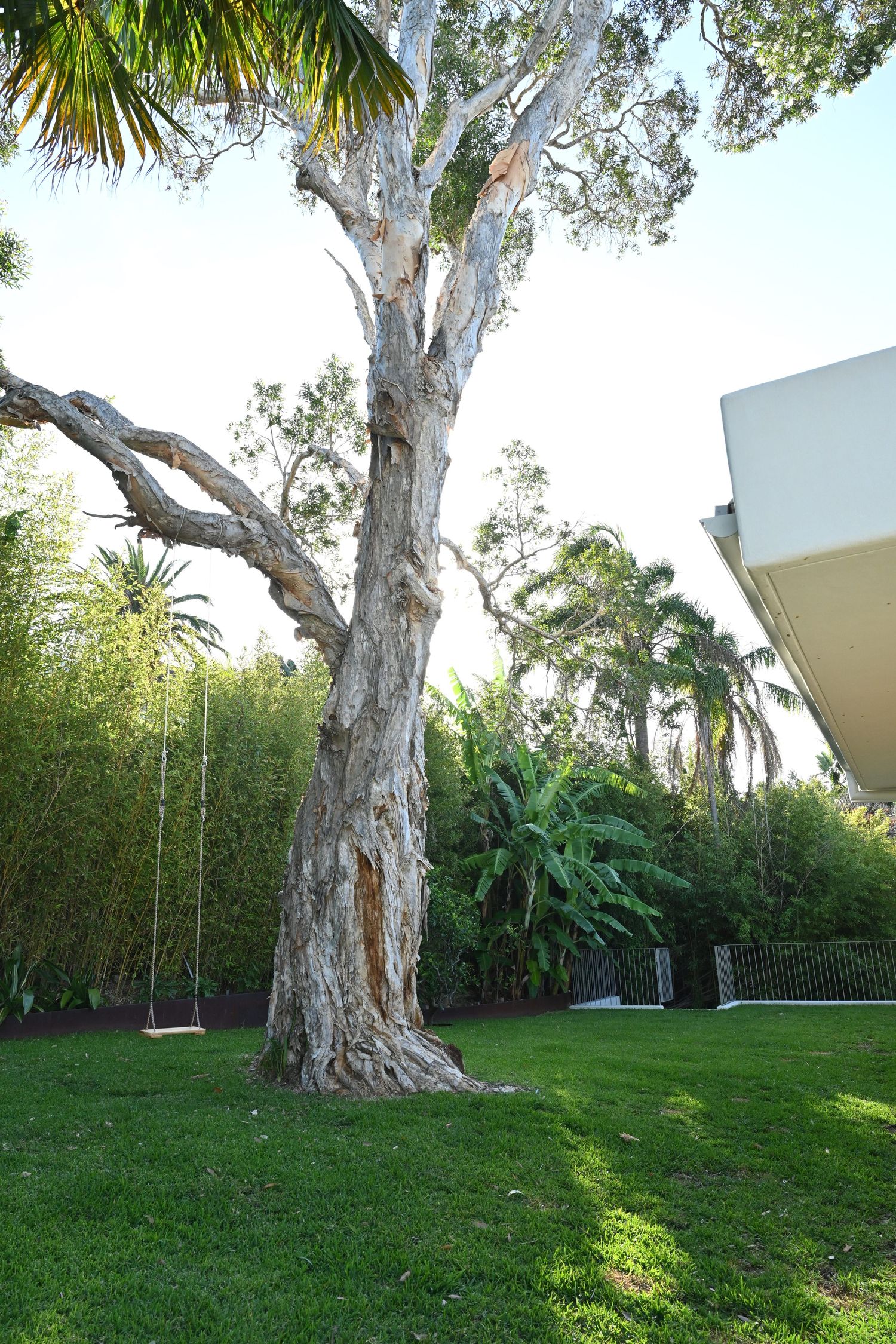 Alaia Palm Beach, large and private back yard with flat lawn and tree swing.