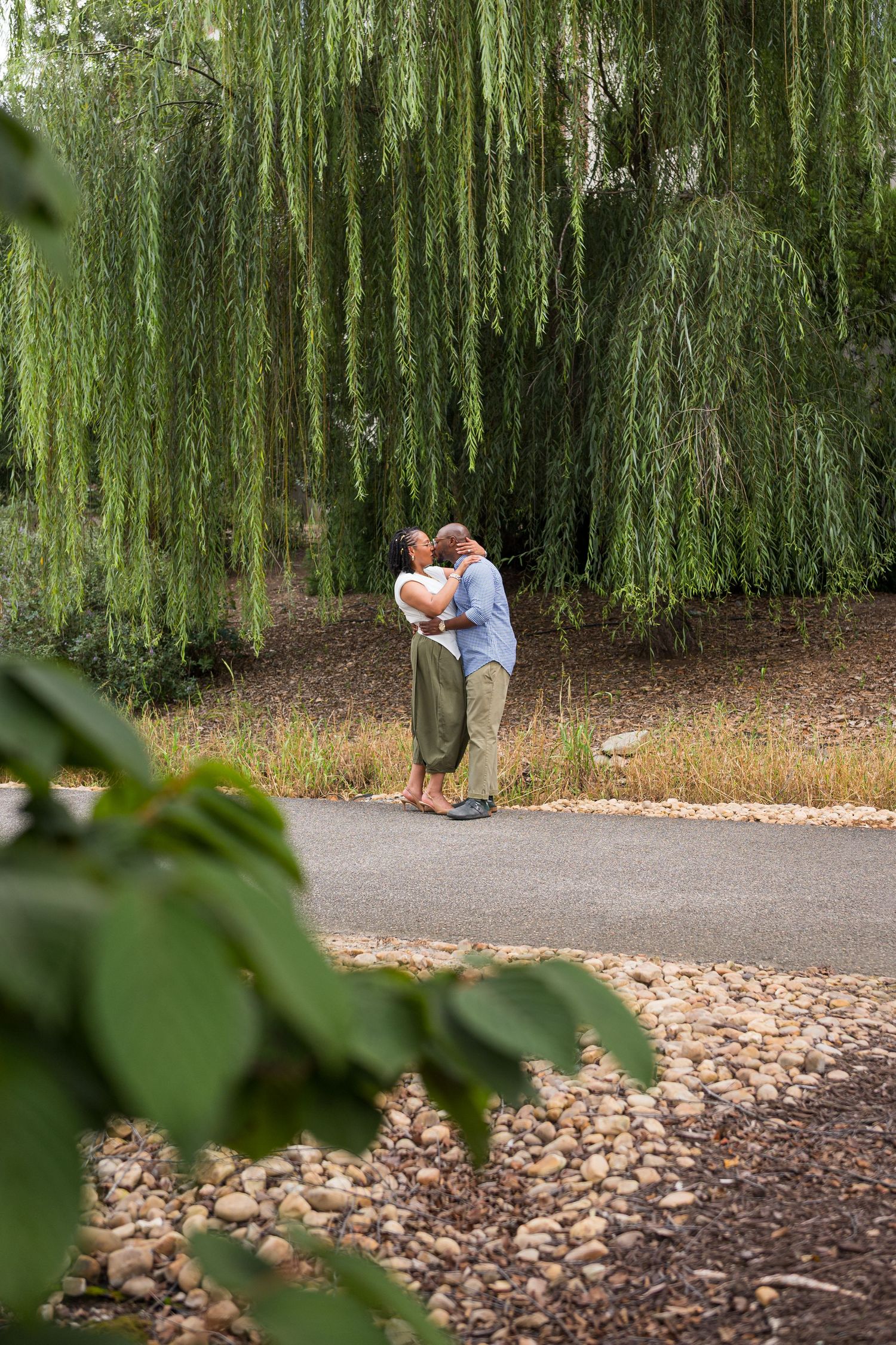 Couple sharing a romantic kiss under a weeping willow tree on a peaceful garden path surrounded by lush greenery.