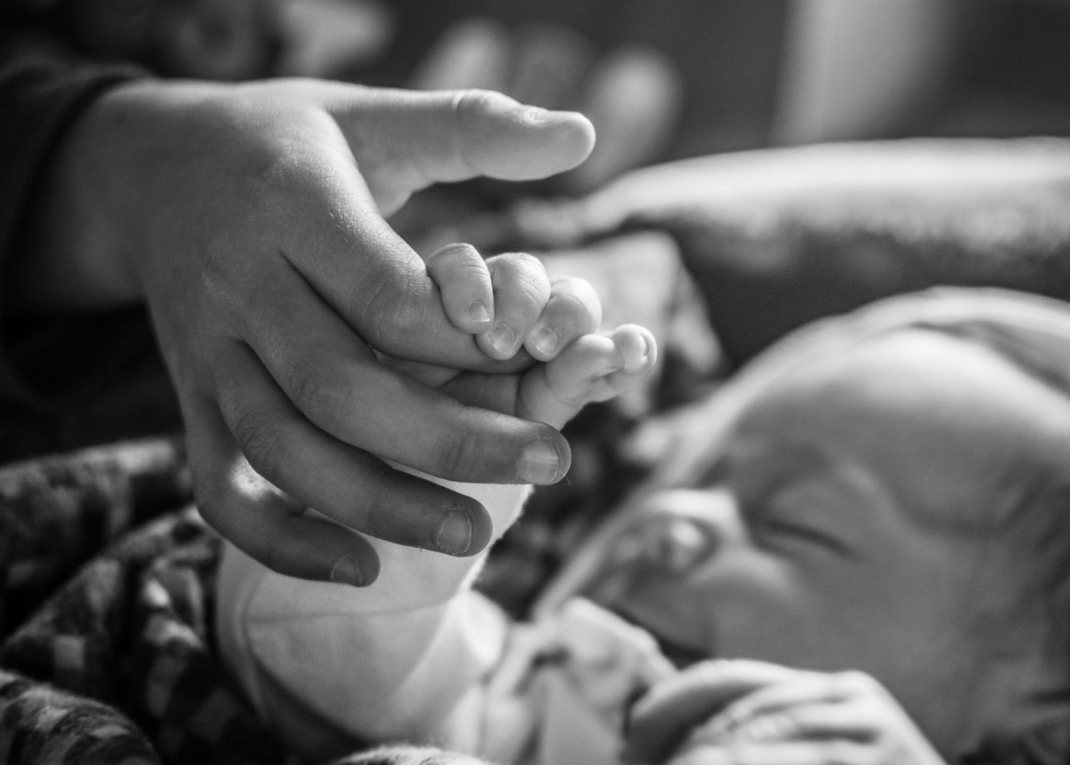 Close-up black and white image of adult and baby hands touching tenderly.