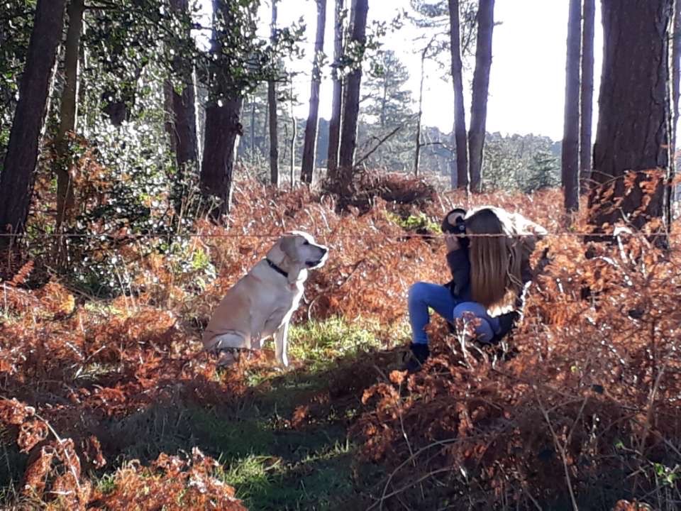 An old vinatge image of me as a child taking photos of my labrador retriever, charlie.