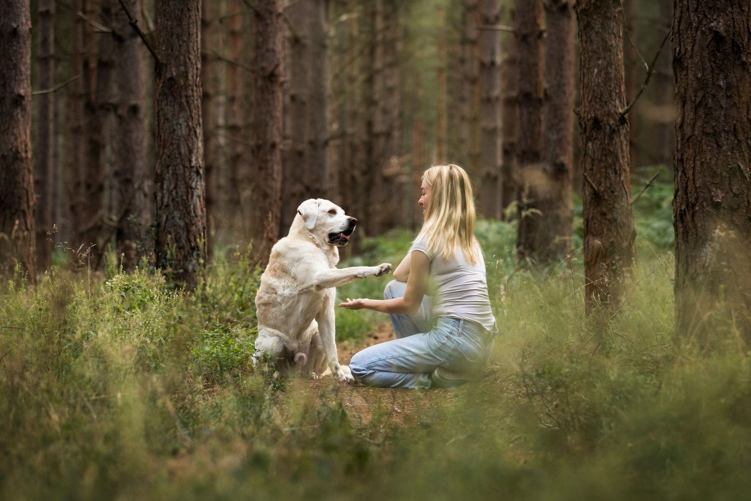 photo of me and my labrador dog shaking hands, taken in thetford forest
