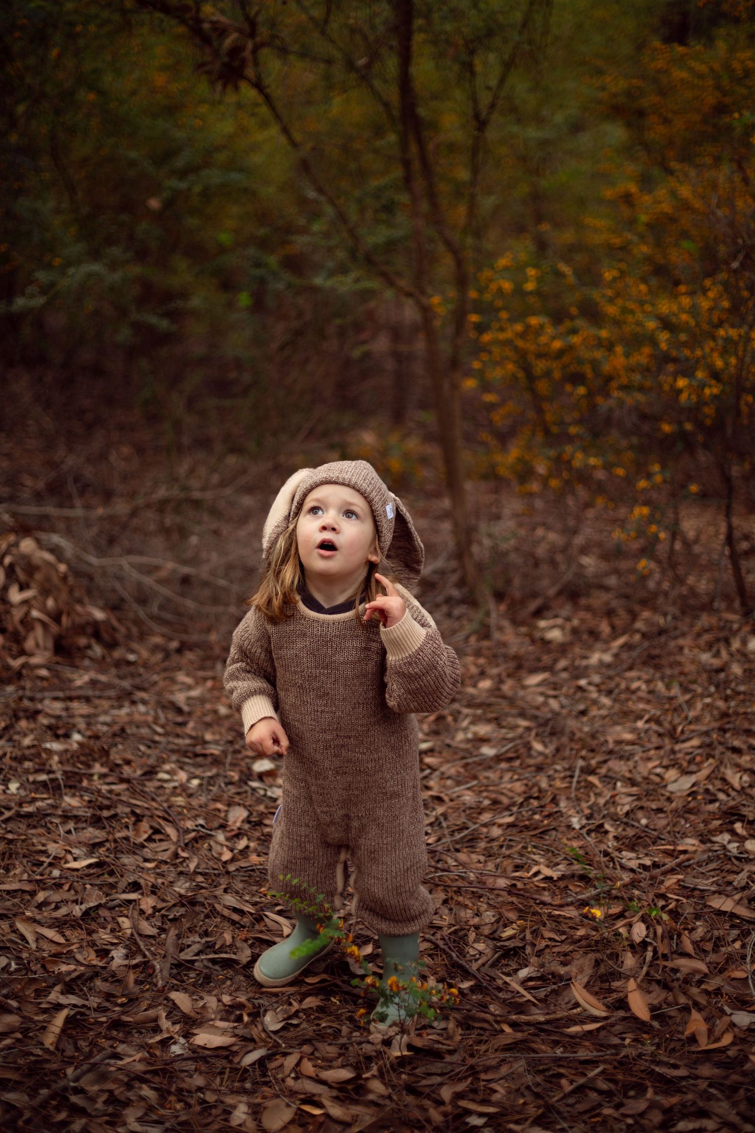 Child dressed as a brown bunny in the woods.