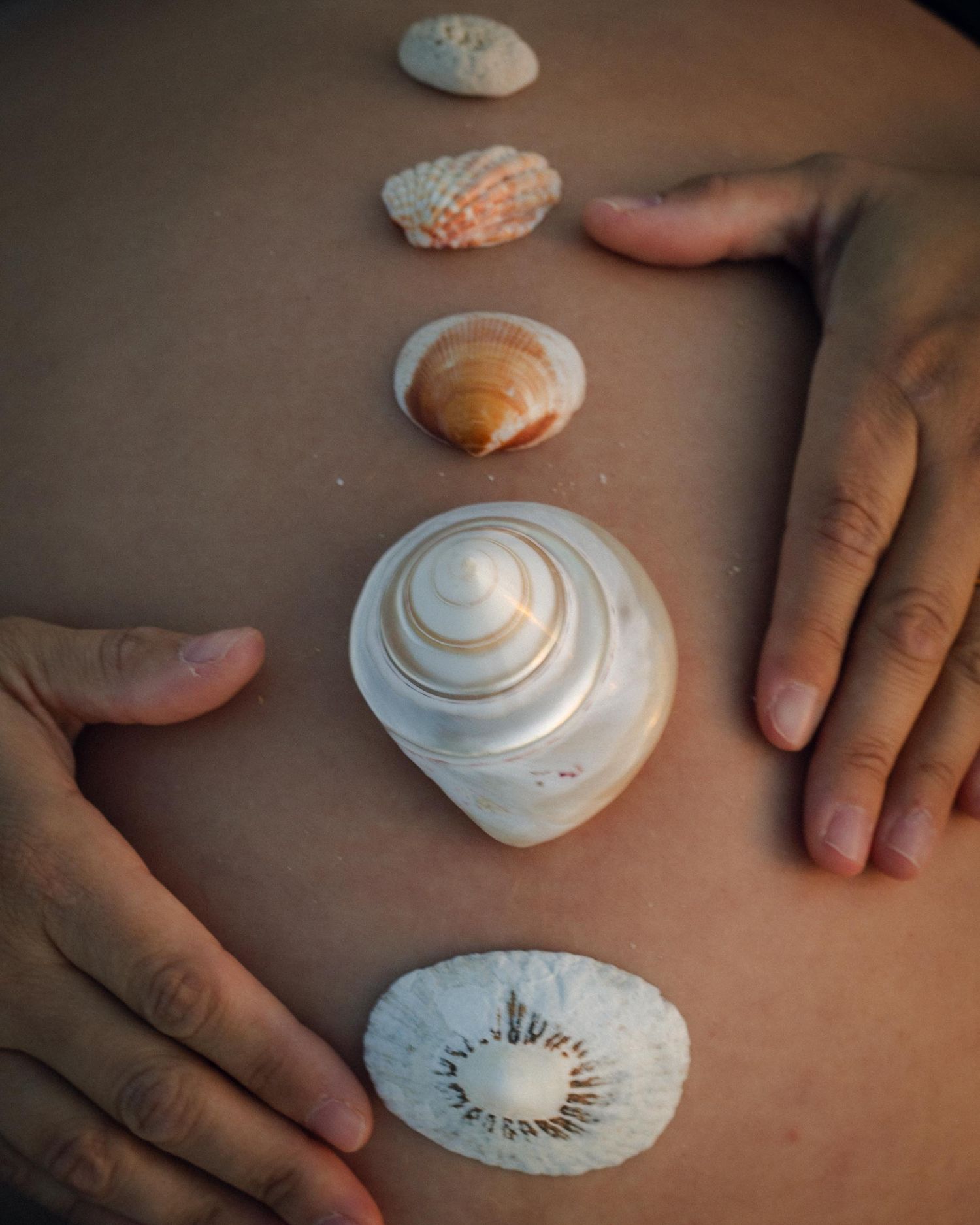 A pregnant belly balancing shells.