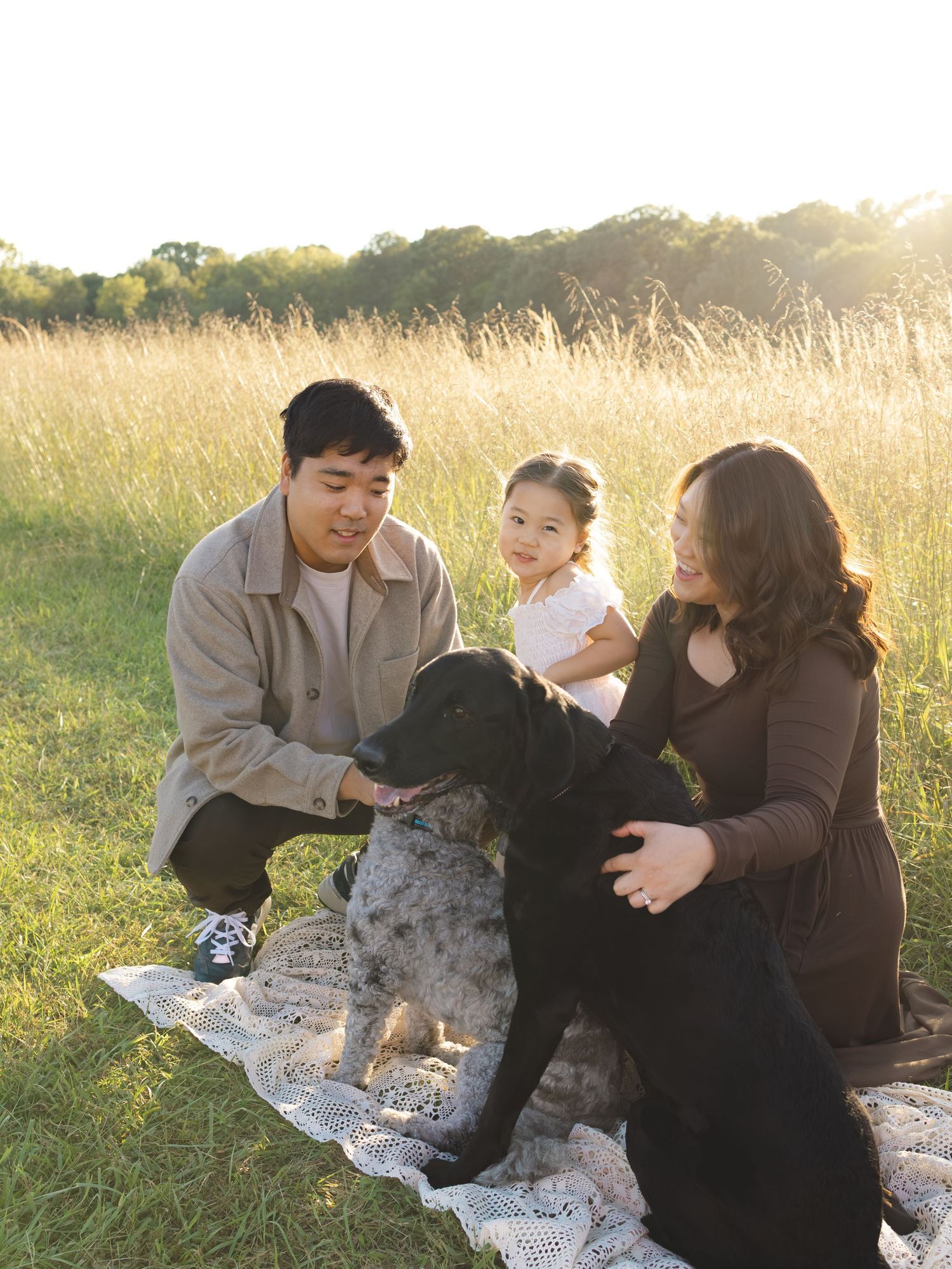 Family with toddler and black Labrador dog enjoying a sunny day on a blanket in a golden meadow.