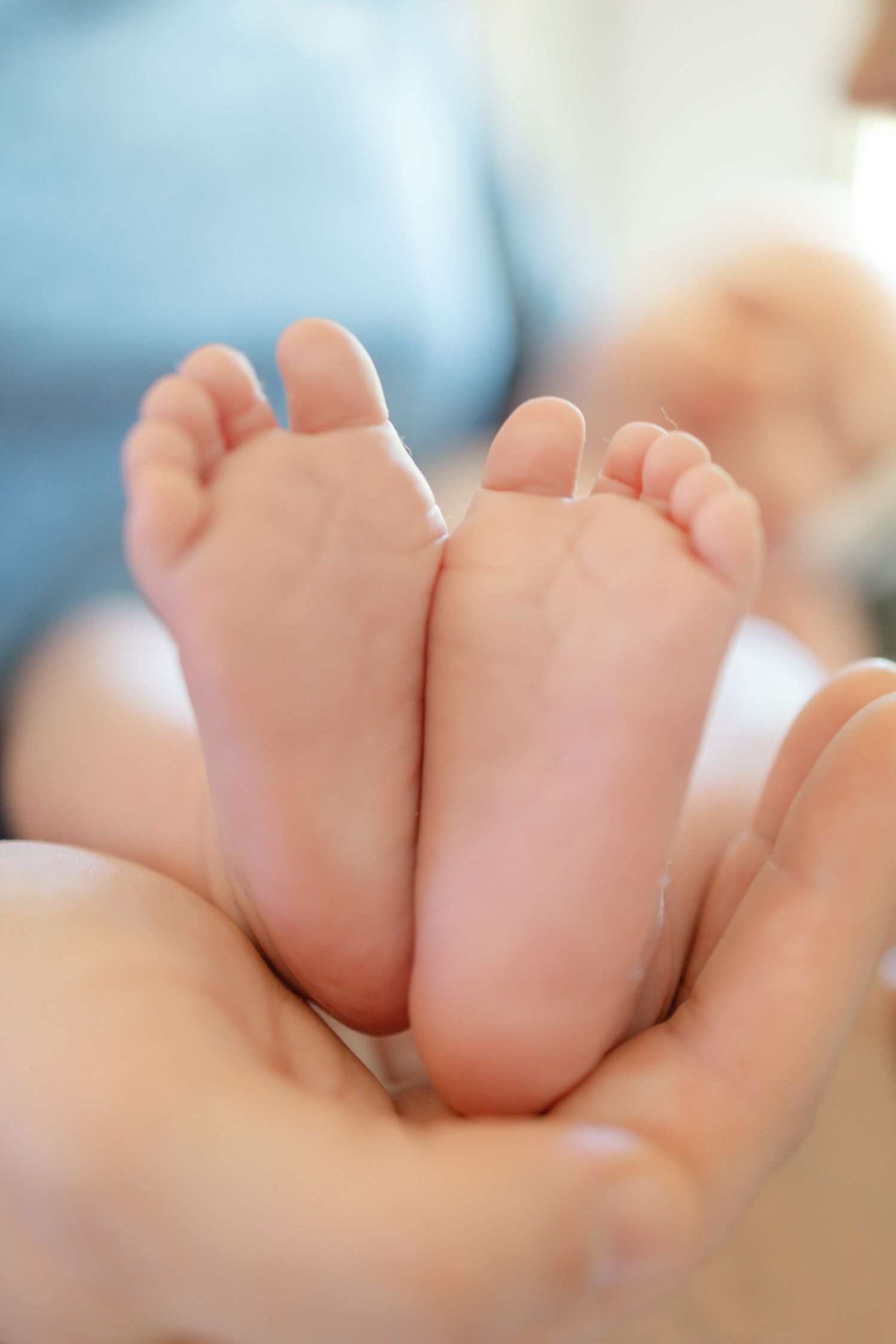 Close-up of tiny newborn baby feet cradled gently in an adult's cupped hands, soft focus background.
