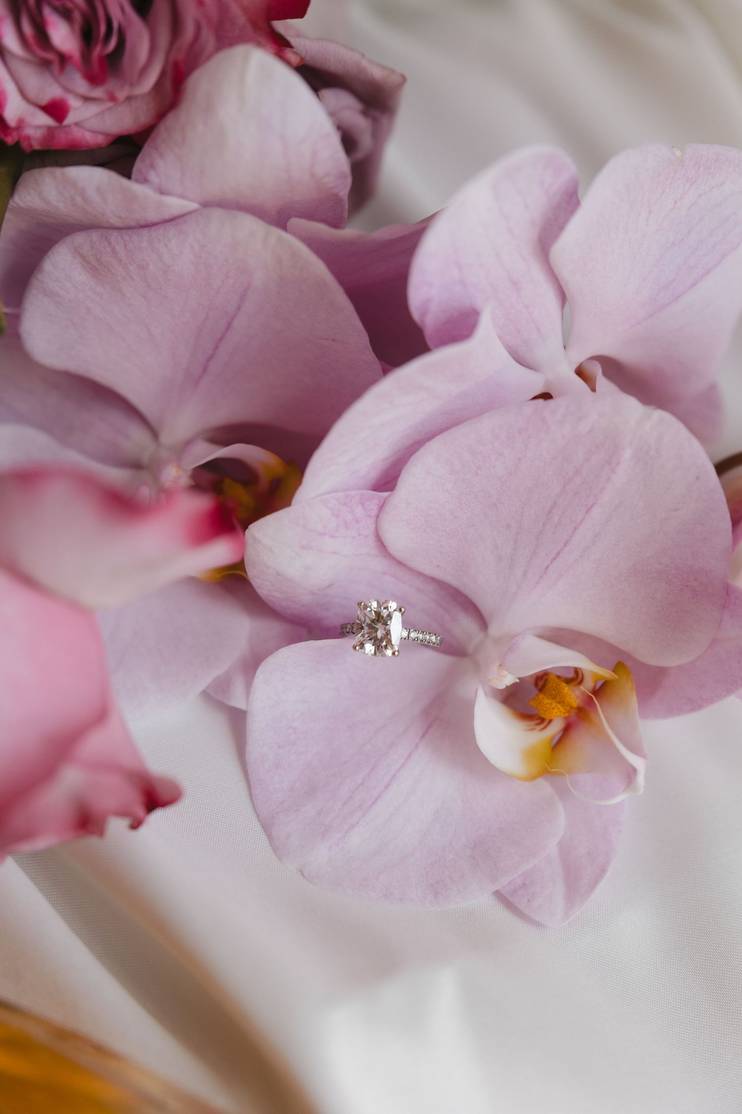 Close-up of an engagement ring nestled among delicate pink orchid petals.