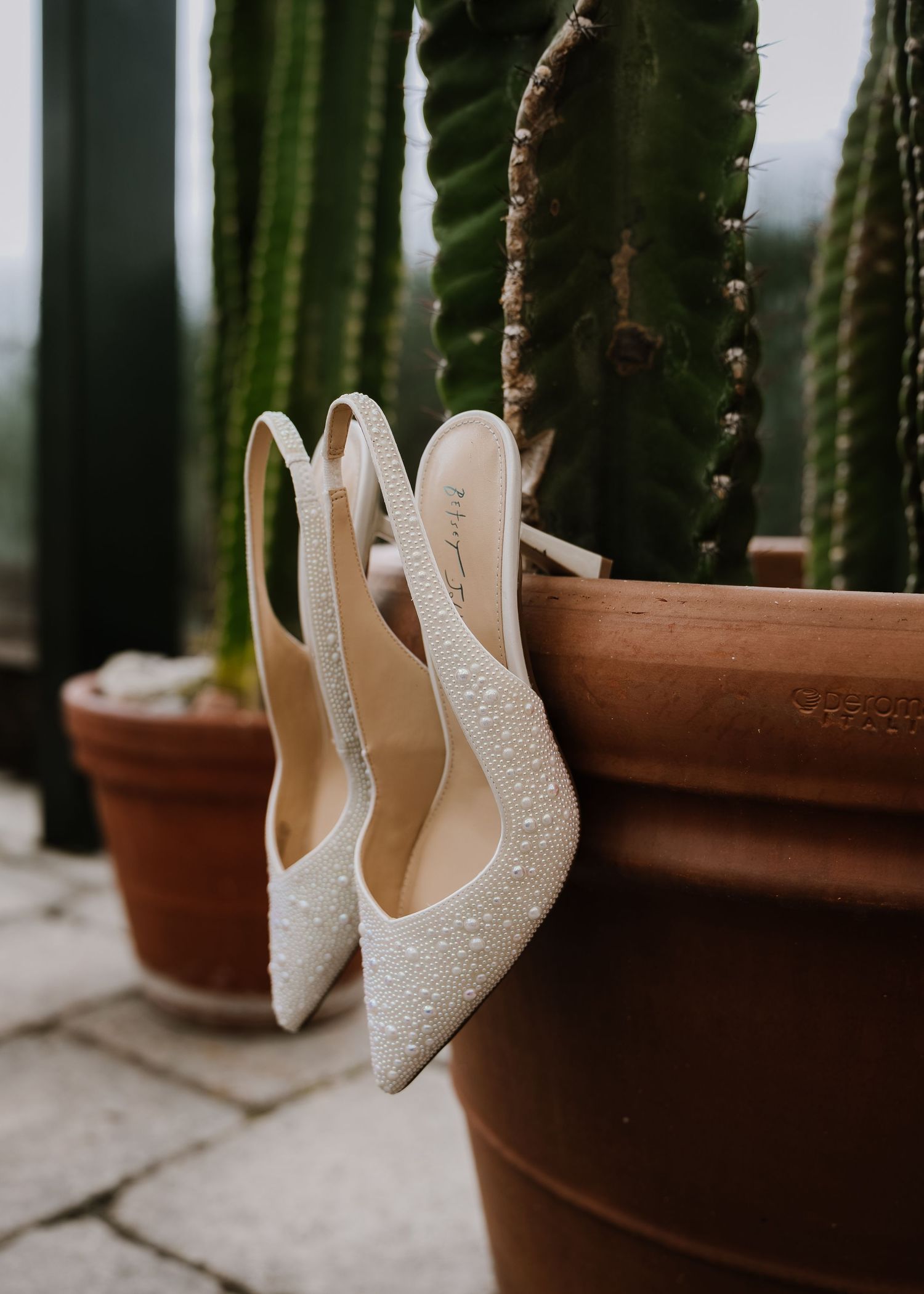 White pearl-embellished slingback heels leaning against a terracotta pot with tall cacti, perfect bridal wedding shoes.
