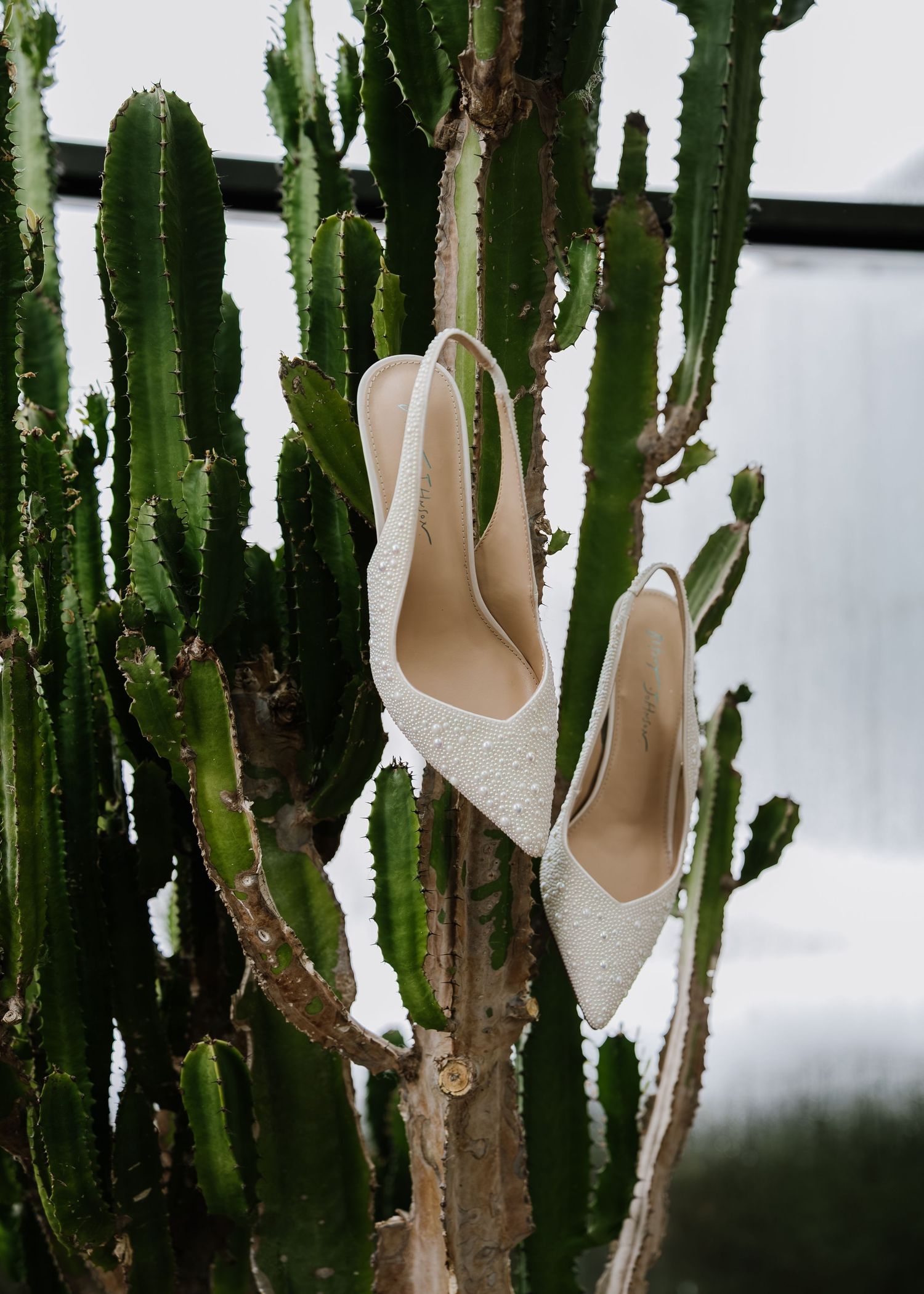 White pearl slingback heels displayed among tall green cacti, elegant bridal shoes in a botanical setting.
