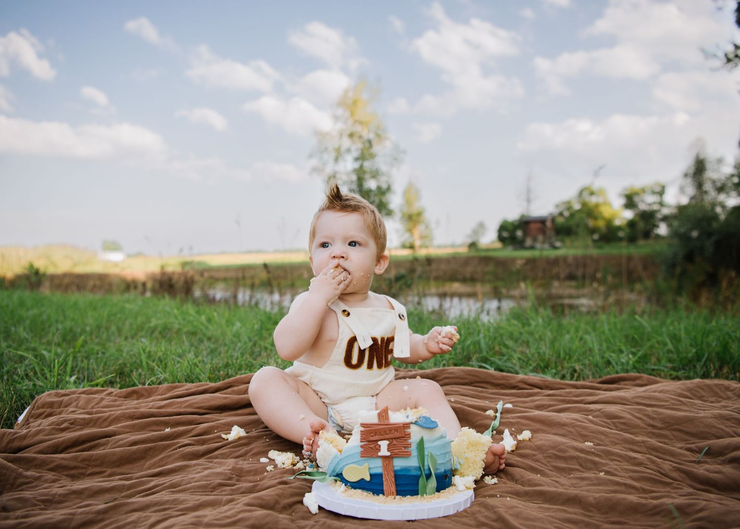A series of photos showing a baby's first birthday cake smash celebration in a grassy outdoor setting.