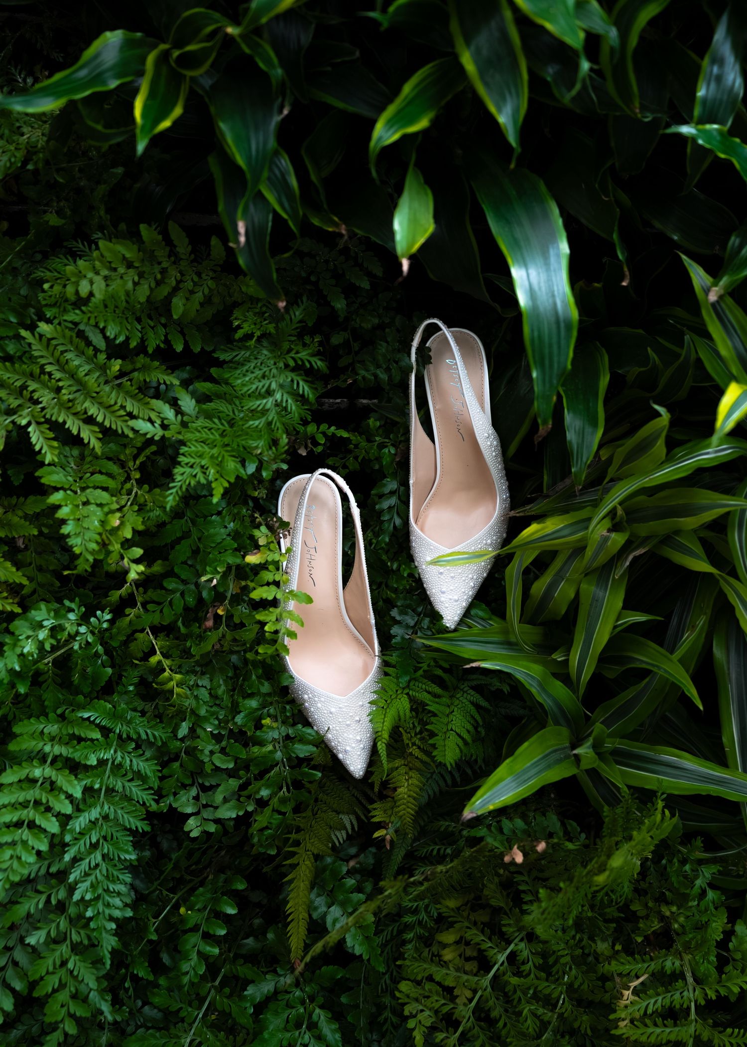 Elegant white bridal heels with pointed toes resting among lush green ferns and tropical leaves.