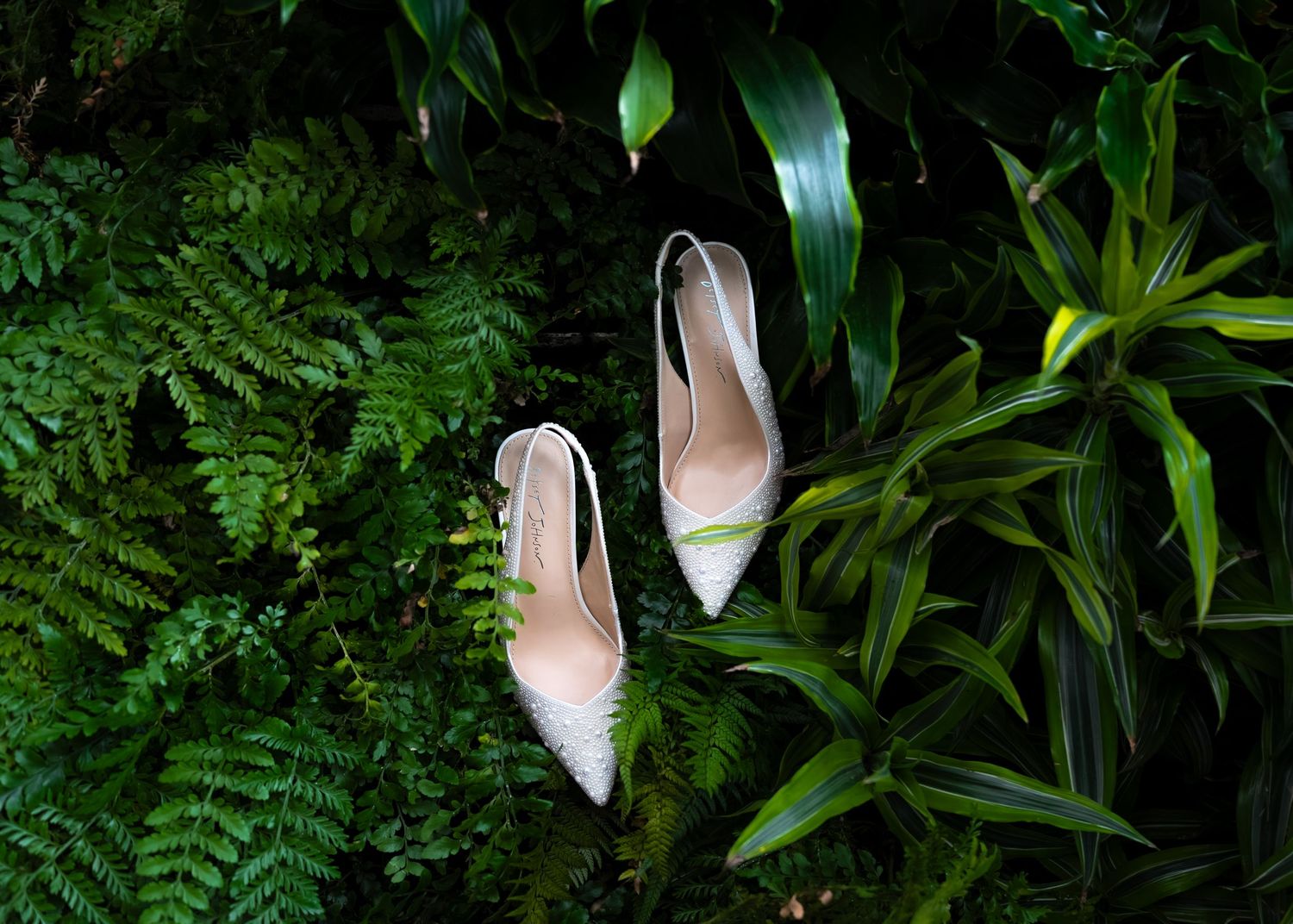 White bridal heels with green accents resting among lush tropical ferns and foliage.