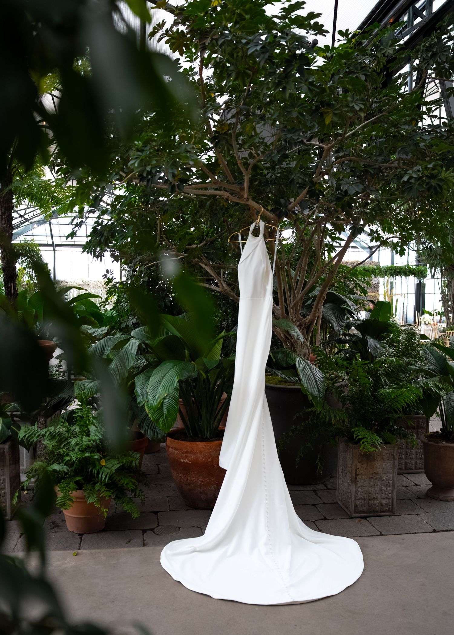 Elegant white bridal gown with train hanging in a lush greenhouse surrounded by tropical green plants.