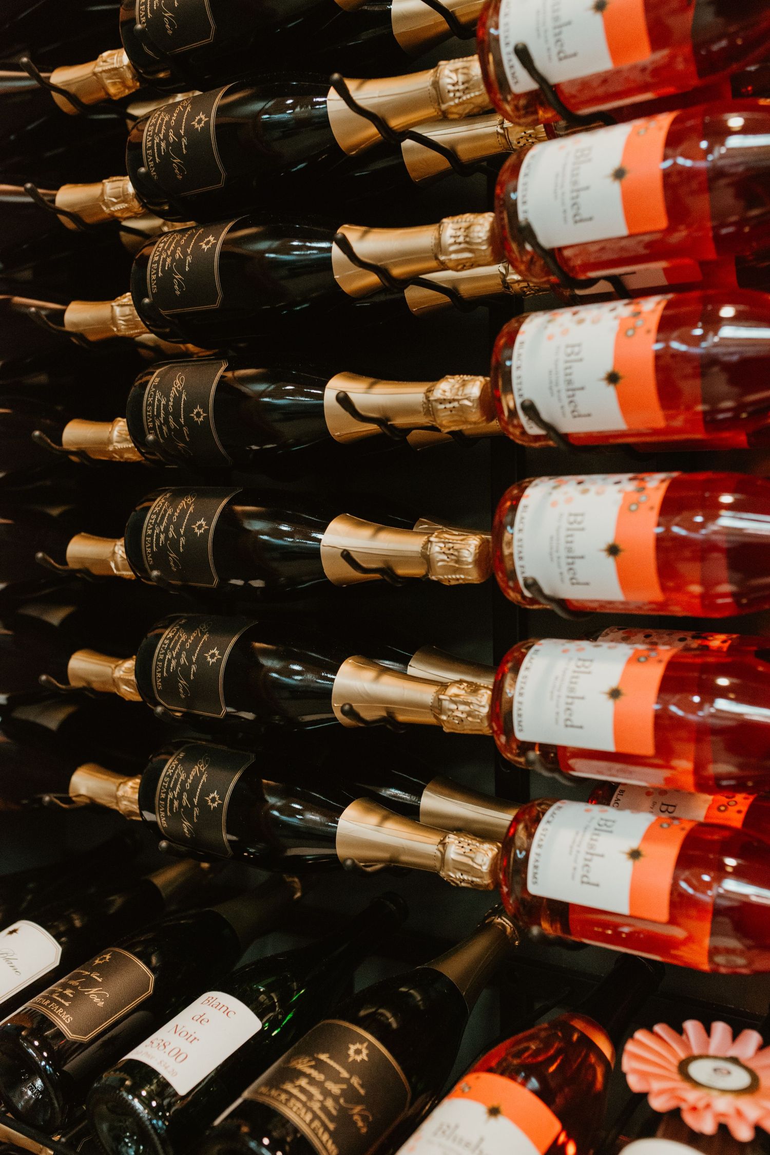 Rows of wine bottles lined up on shelves showing black and rose colored wines with ornate labels and cork closures.