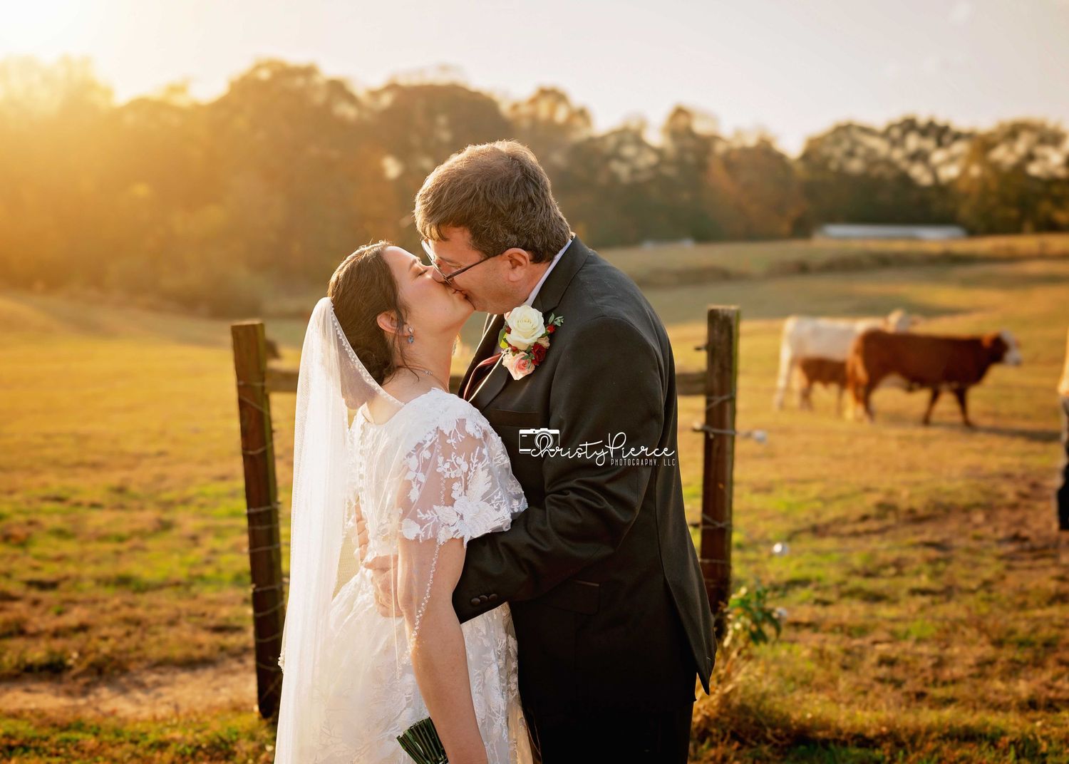 Romantic sunset wedding photo shoot in a rustic farm field with golden light and cattle grazing in the background.