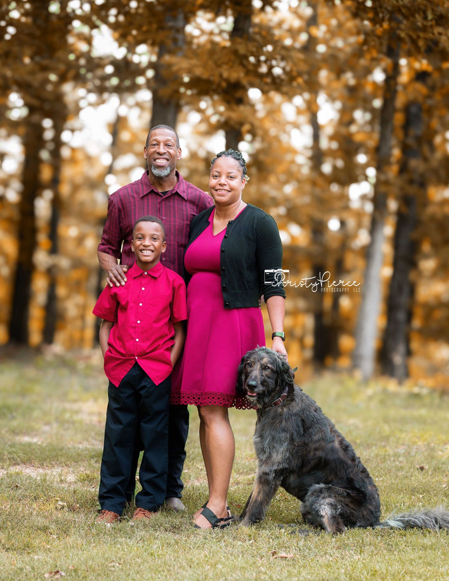A family in coordinating red and burgundy outfits poses for an autumn portrait with their large grey dog in a wooded setting.
