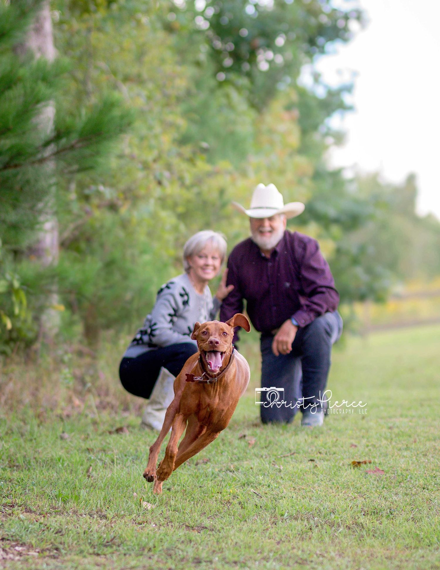 A brown dog leaping joyfully across a grassy field while two people in casual attire watch from behind.