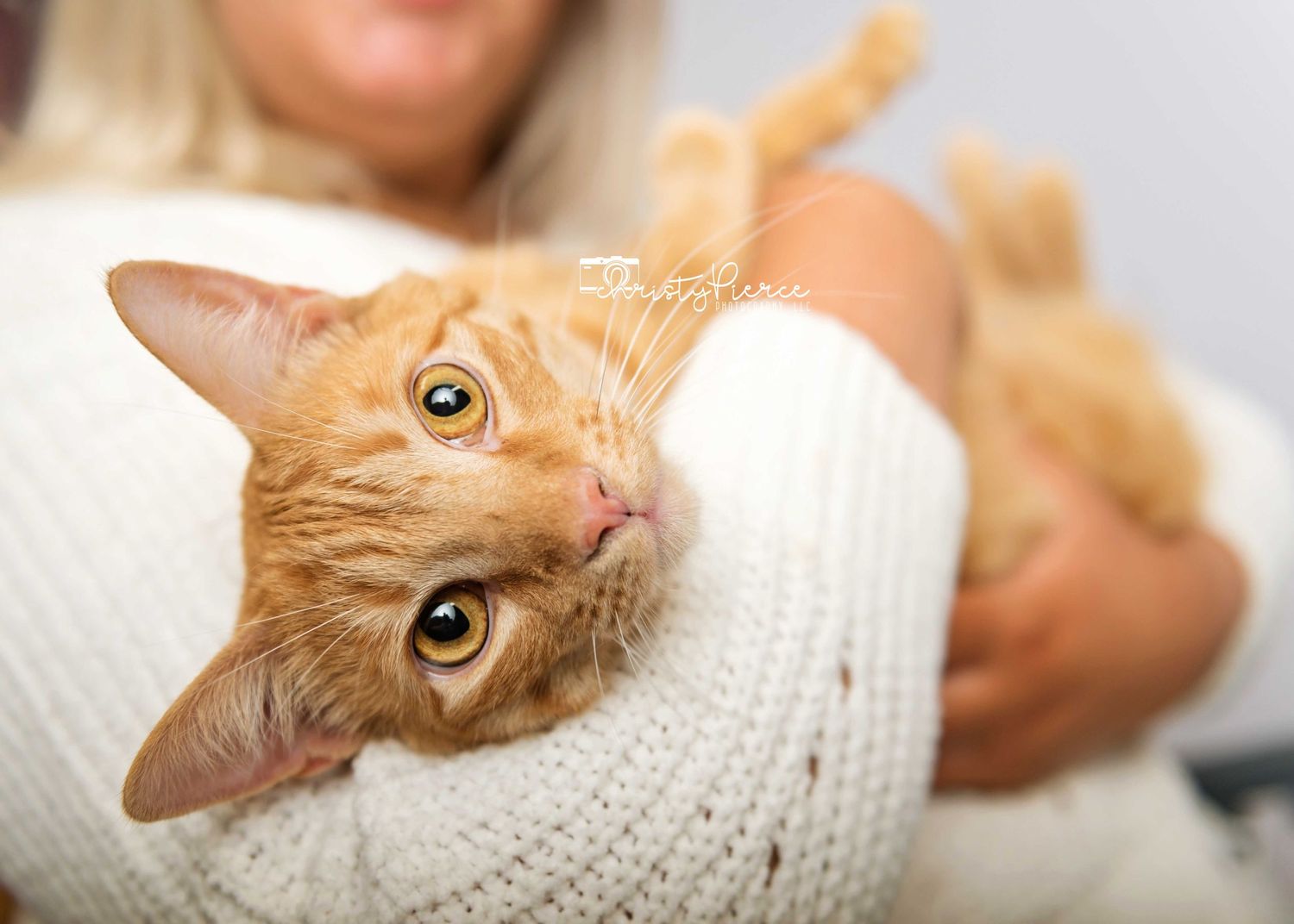 Orange tabby cat with bright eyes lies on white sweater while looking directly at camera.