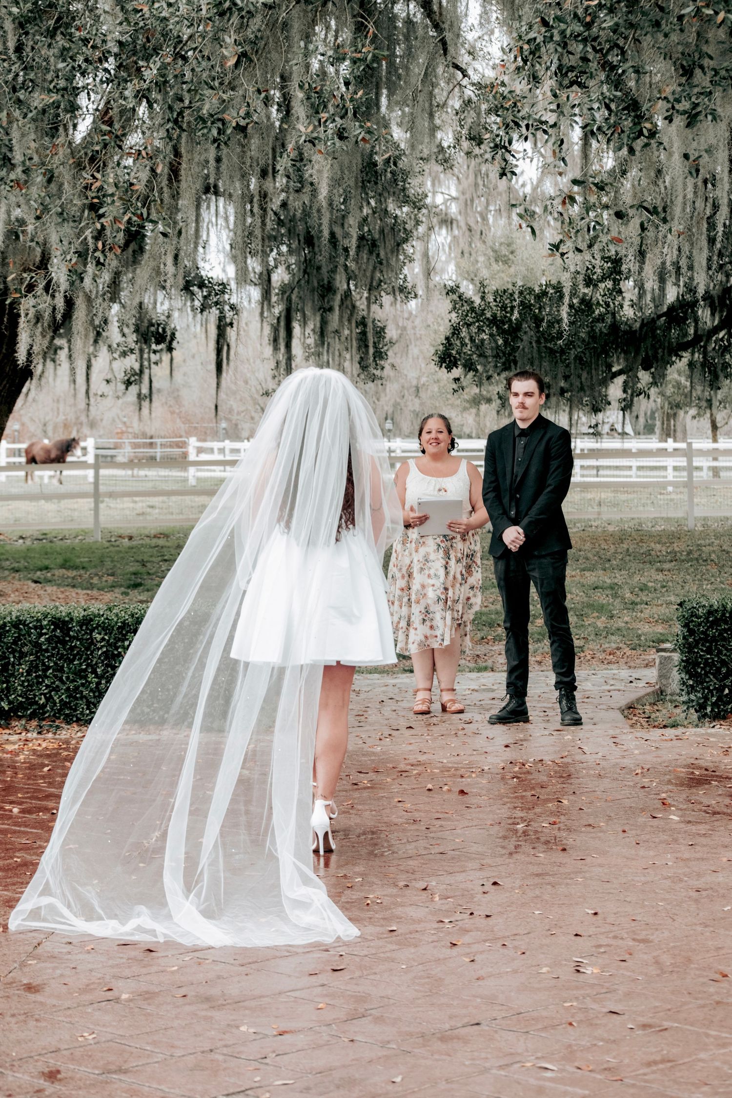 A long white bridal veil flows gracefully in the wind across multiple frames in a romantic outdoor setting.