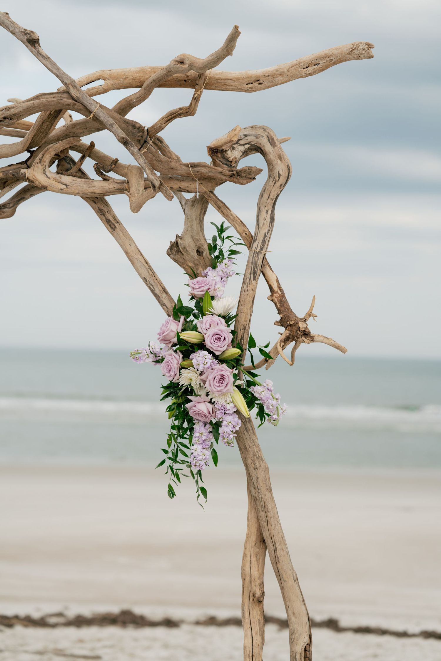 Driftwood wedding arch adorned with pink roses and greenery on a sandy beach with ocean backdrop.