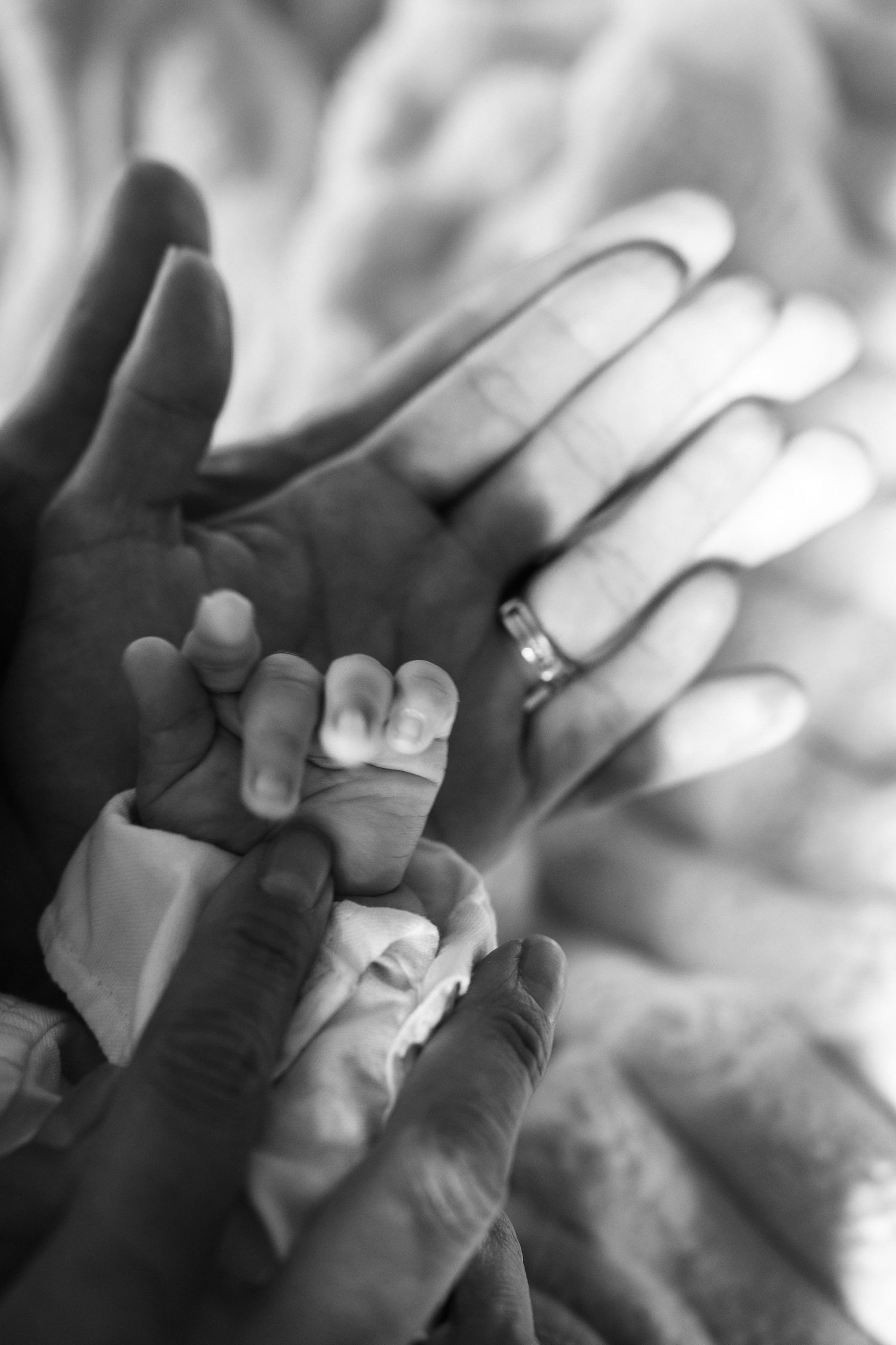 Black and white close-up sequence of hands gently touching and intertwining in an intimate artistic composition.