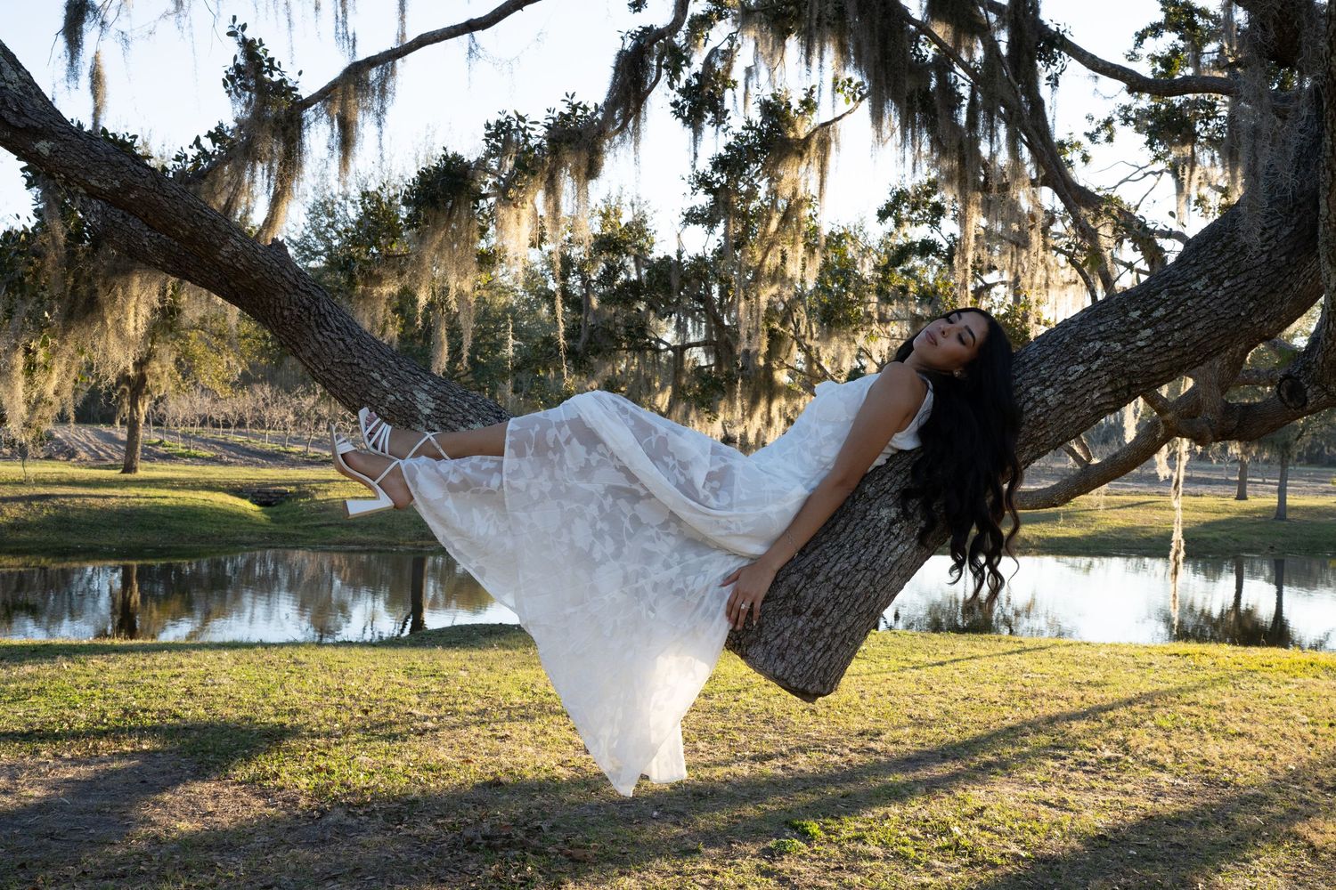 A white hammock hangs between trees in a scenic park setting during golden hour sunlight.