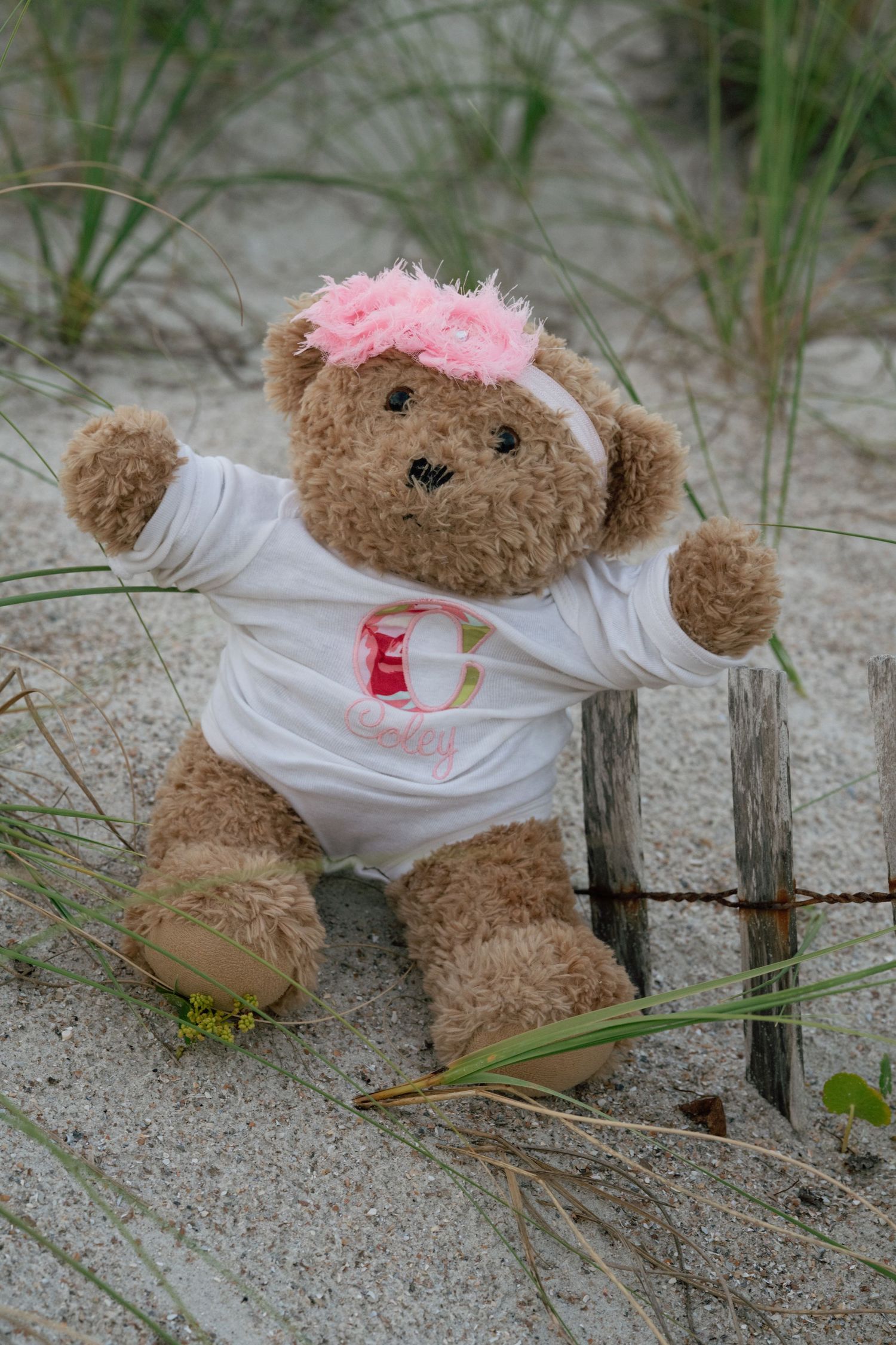 Brown teddy bear wearing white shirt and pink headband sitting on sandy beach dunes with grass.
