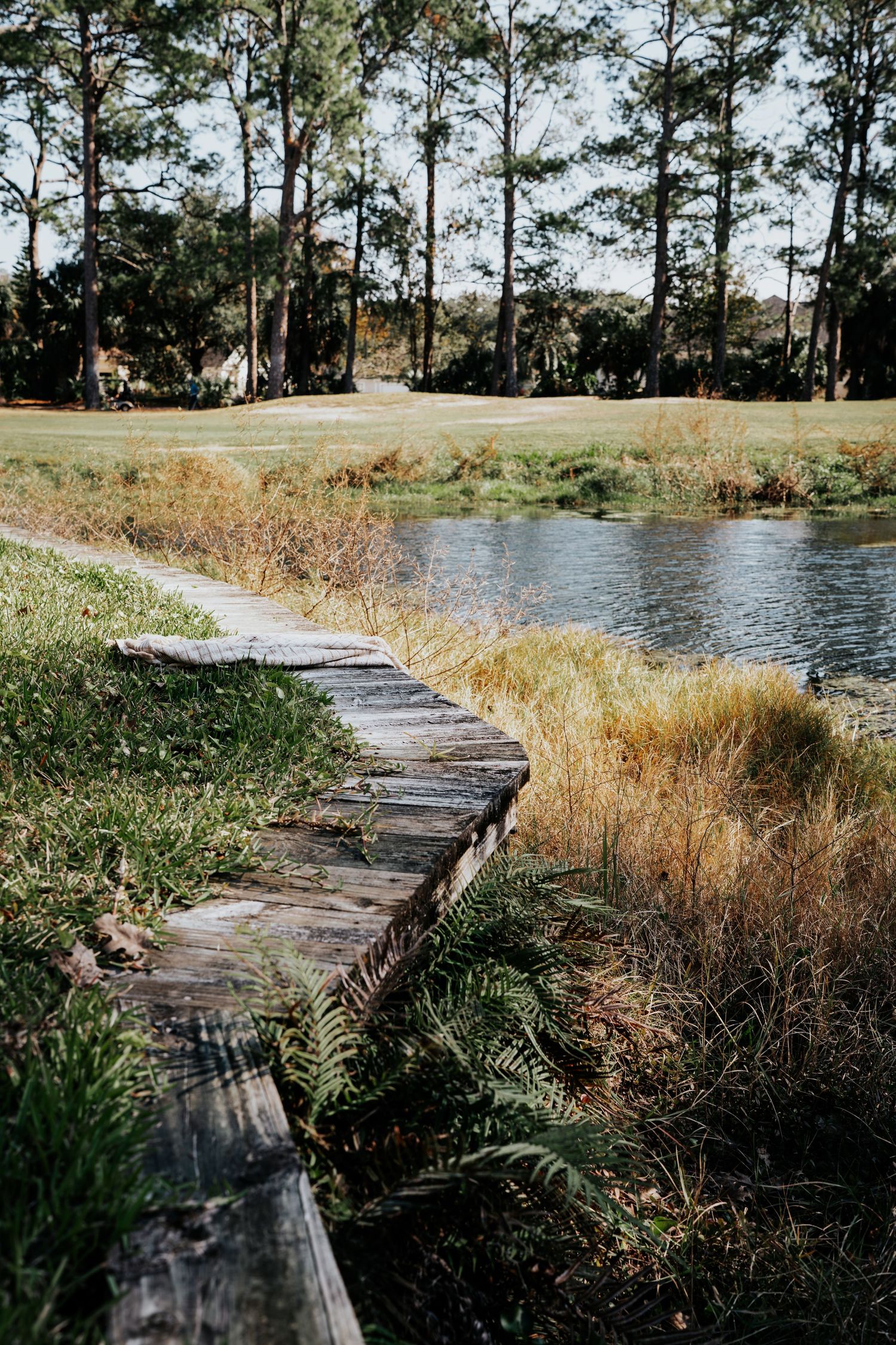 A rustic wooden boardwalk winds through tall grass and marshland along a peaceful waterway on a sunny day.