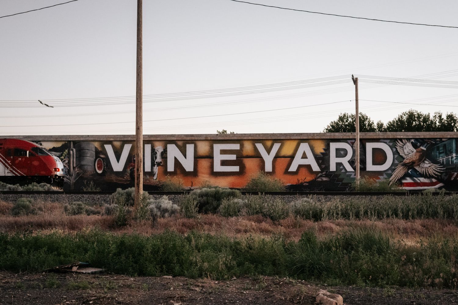 A panoramic view of an old rustic vineyard sign with rolling hills in the background at sunset.
