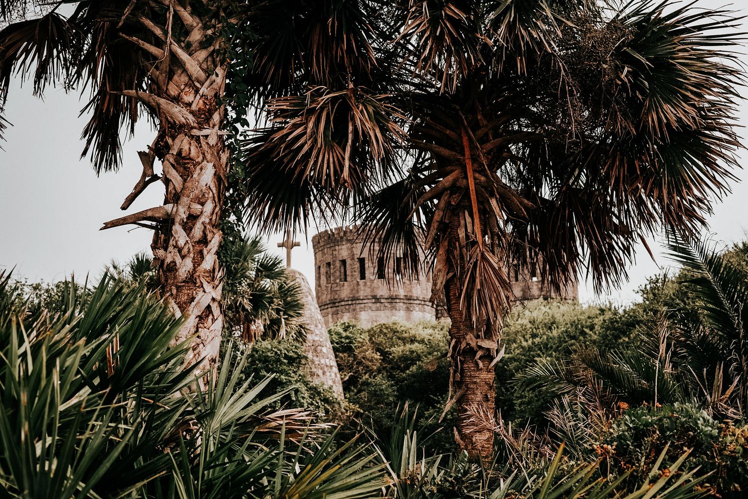 Ancient stone ruins peek through tropical palm fronds and lush vegetation against an overcast sky of Castle Otttis.