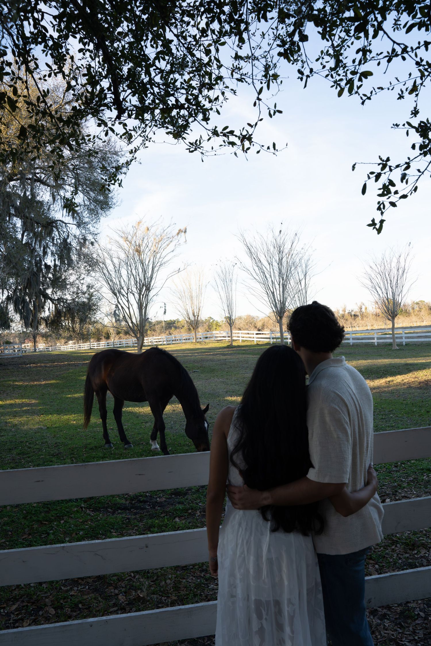 Two people stand near a wooden fence watching horses graze in a pastoral field at sunset.