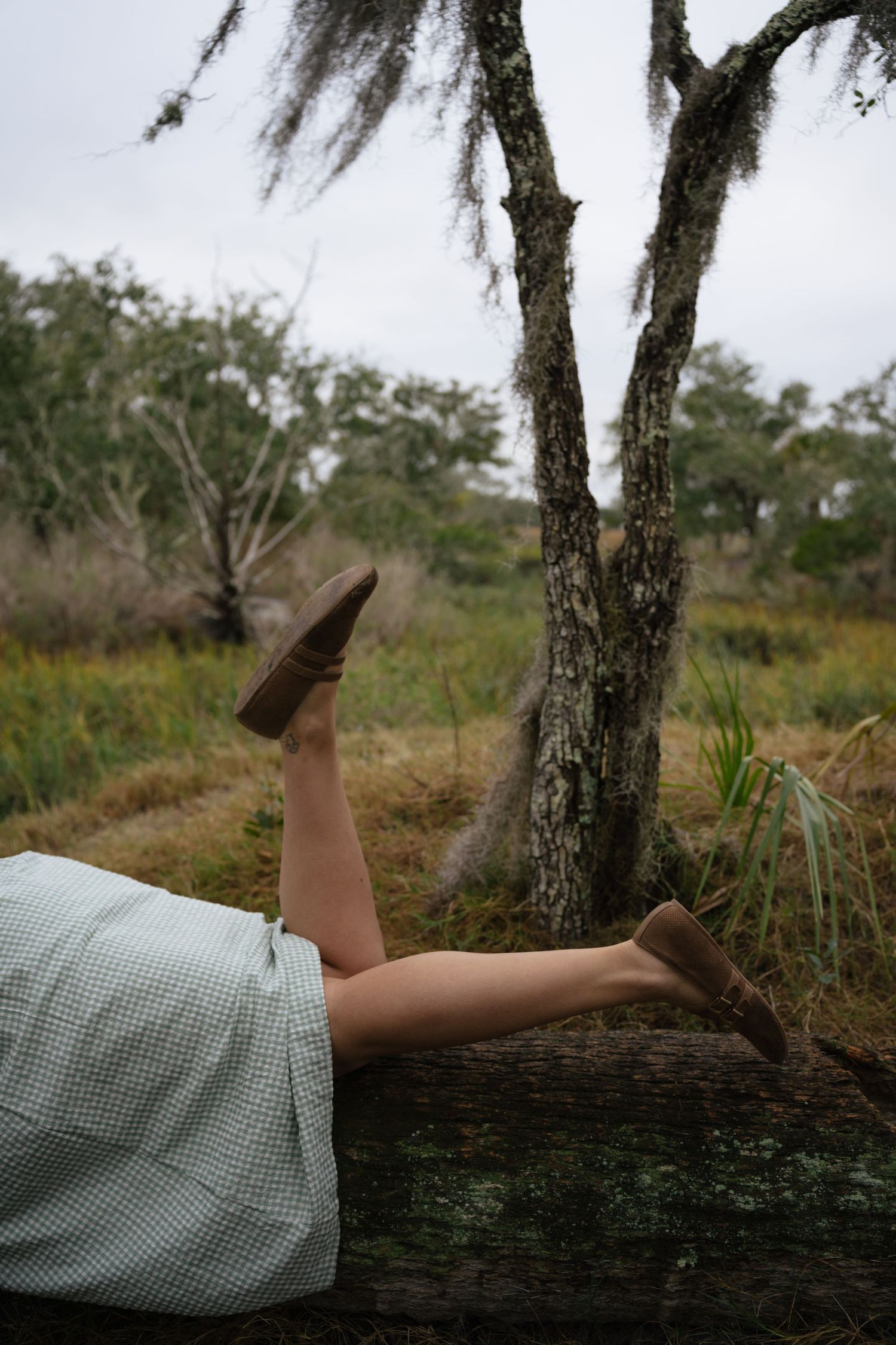 A person in brown boots and checkered dress lying on a fallen tree trunk in a misty forest setting.