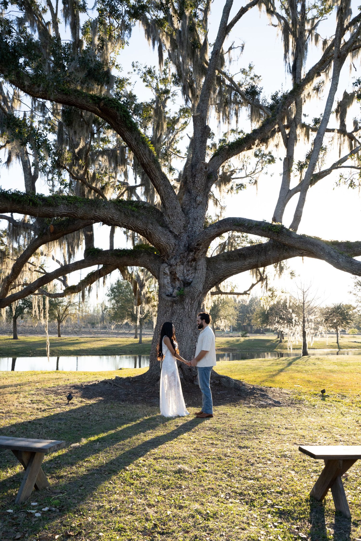 A couple sits on a wooden swing hanging from a large oak tree draped in Spanish moss during sunset.
