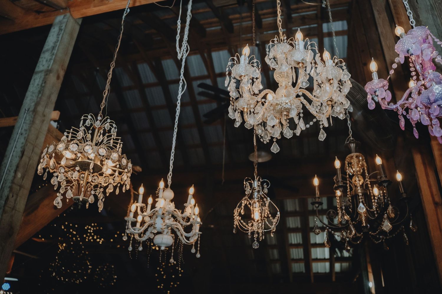 Multiple ornate crystal chandeliers hanging from rustic wooden beams in a dimly lit barn venue.