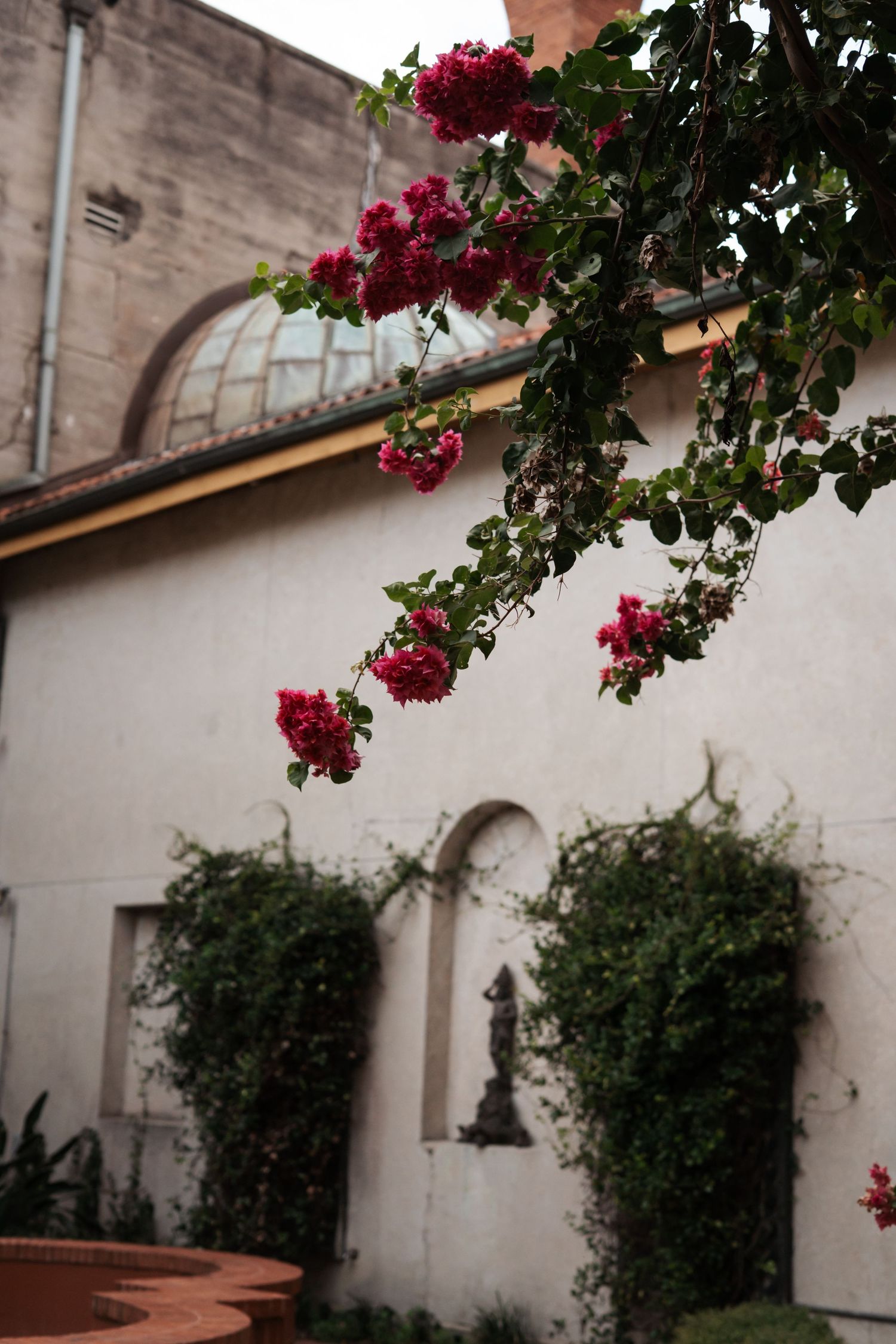 Pink bougainvillea flowers cascade over a white stucco wall with arched architectural details.
