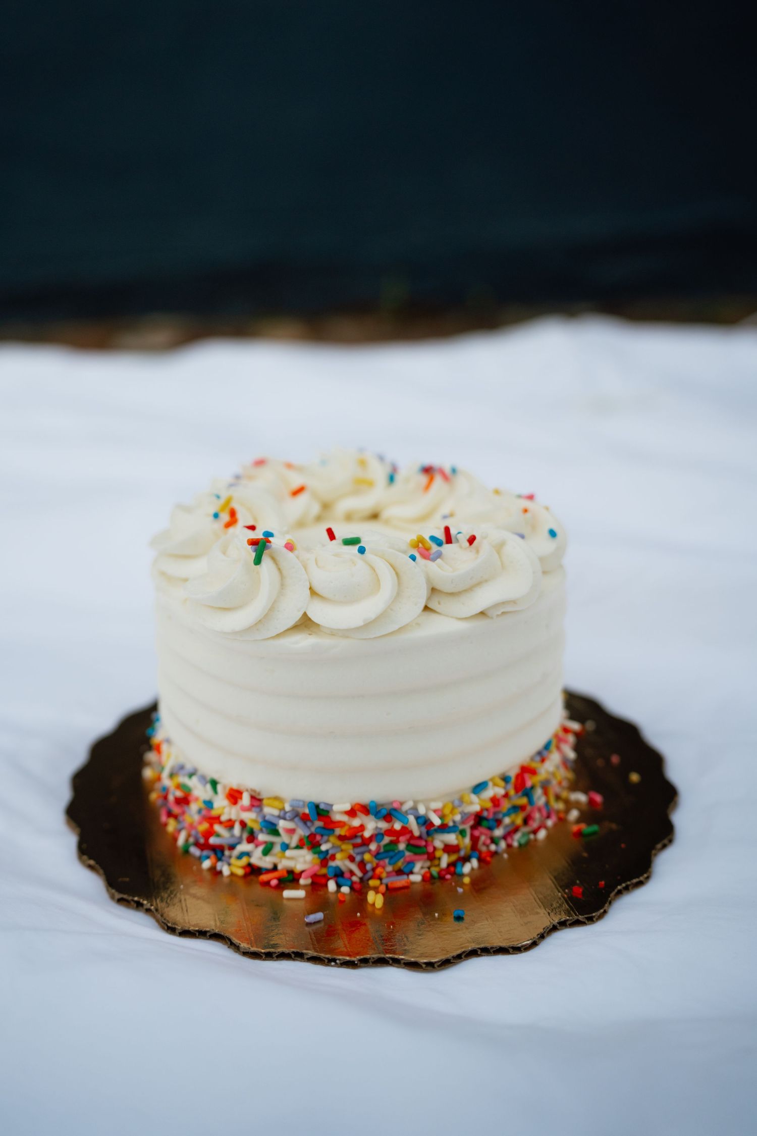 A white frosted cake decorated with colorful sprinkles sits on a dark plate against a snowy white background.