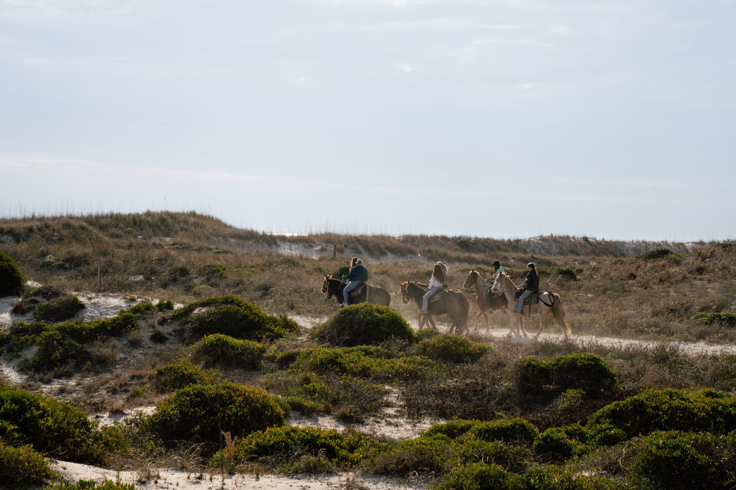Horseback riders trekking through coastal sand dunes with green shrubs under a cloudy sky.