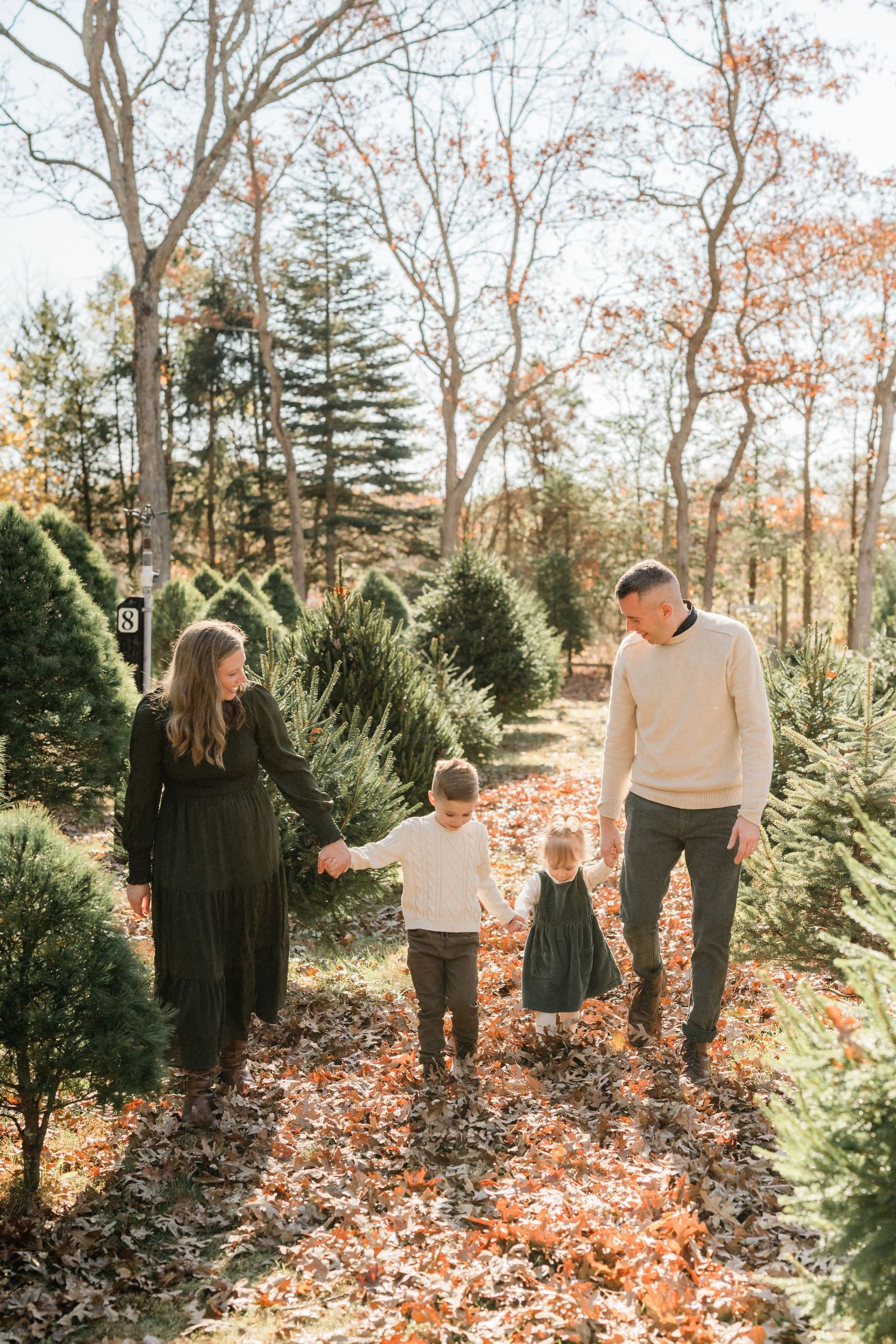 Family of four walking among Christmas trees at a tree farm in autumn, surrounded by fallen leaves and evergreens.