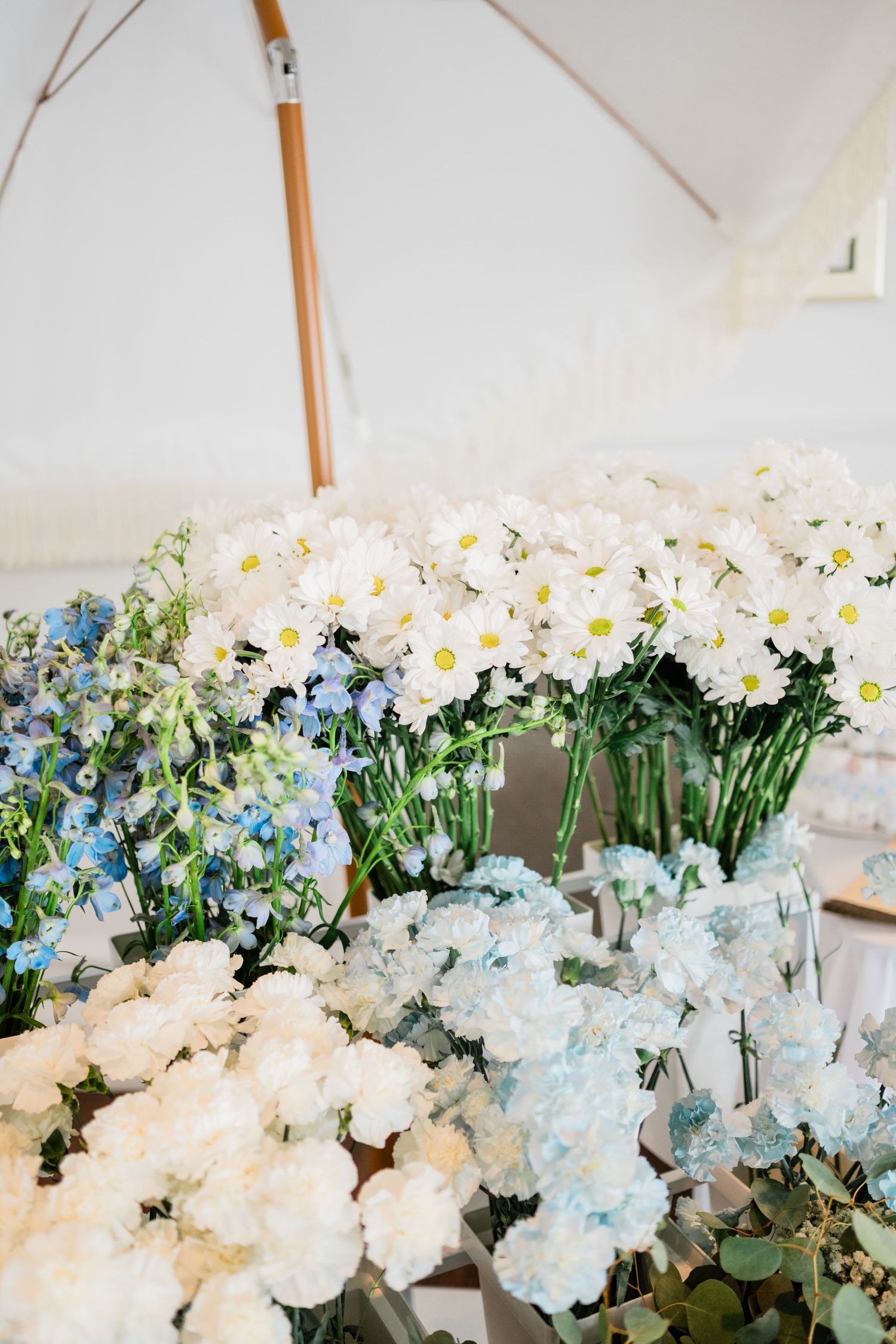 Beautiful arrangement of white daisies and blue flowers under a white tent or canopy.