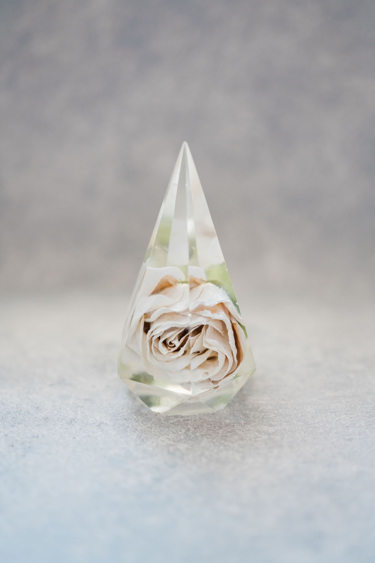 Crystal prism displaying preserved floral elements in elegant minimalist setting.